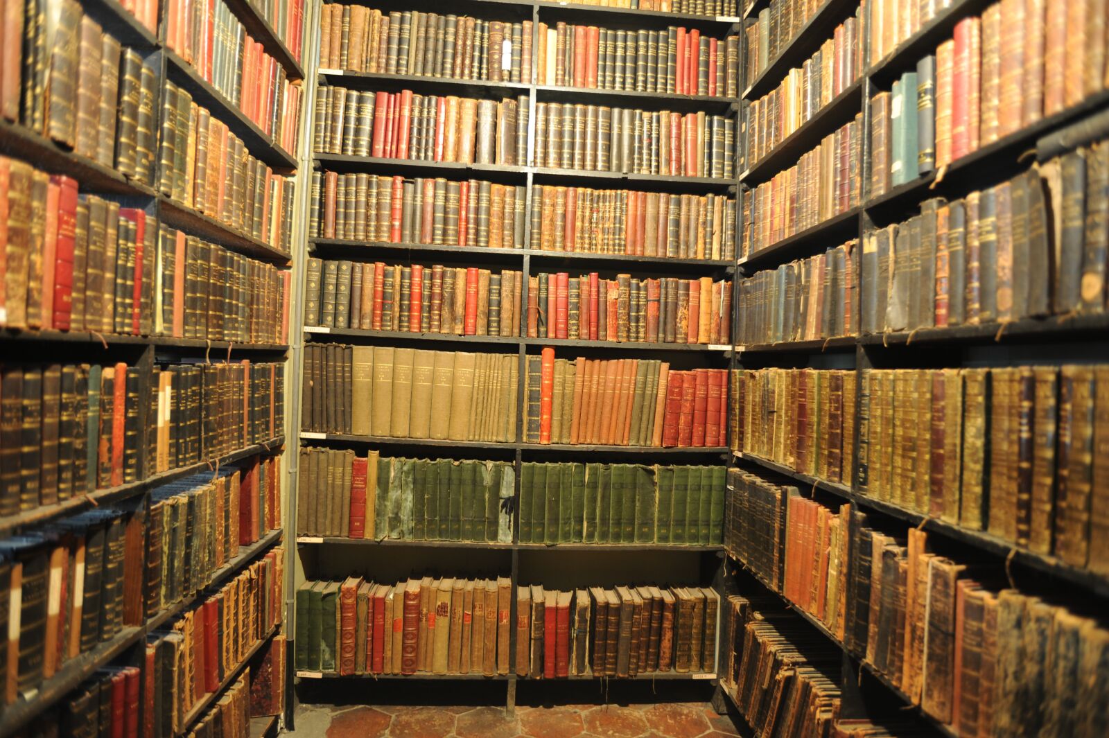 Nikon D700 sample photo. Library, books, reading photography