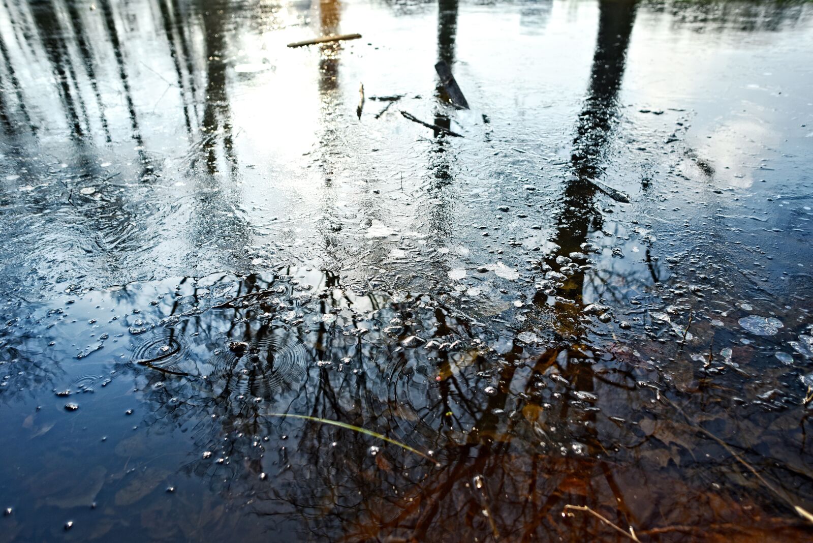 Nikon D750 sample photo. Ice, frozen, pond photography