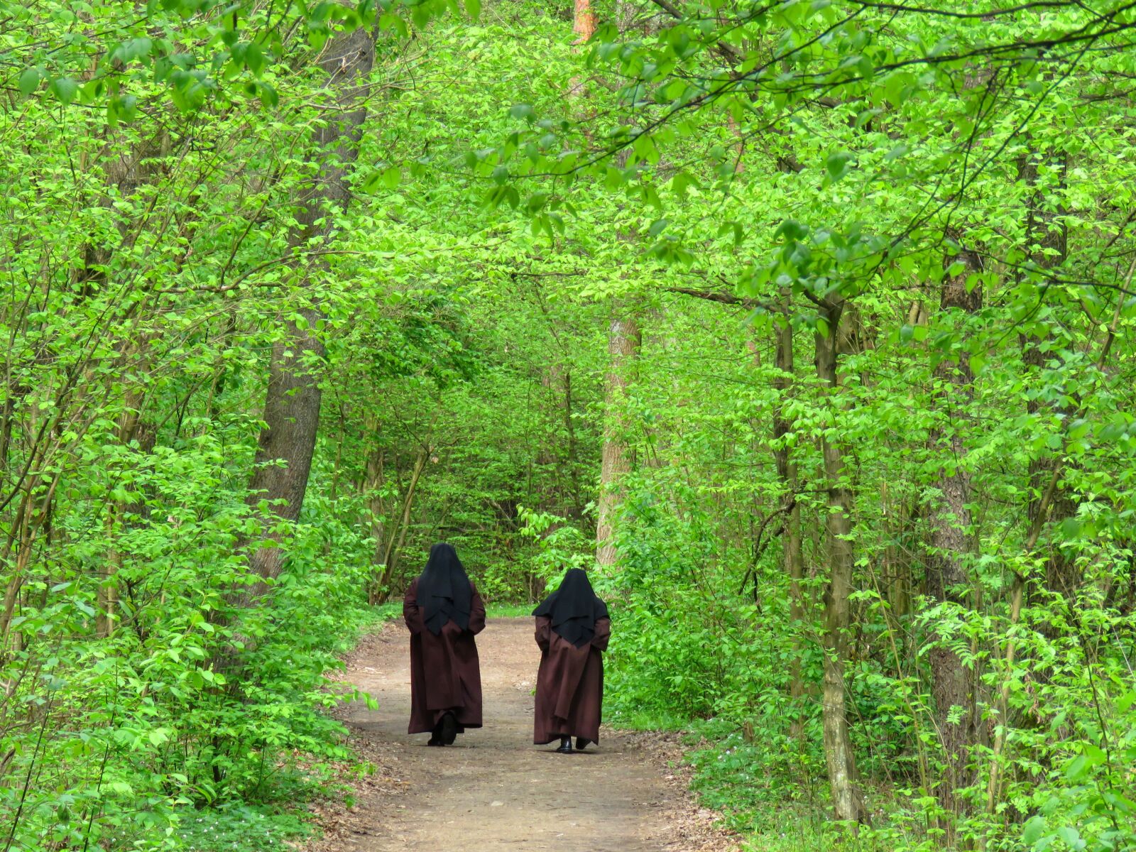 Canon PowerShot SX60 HS sample photo. Nuns, spacer, spring photography