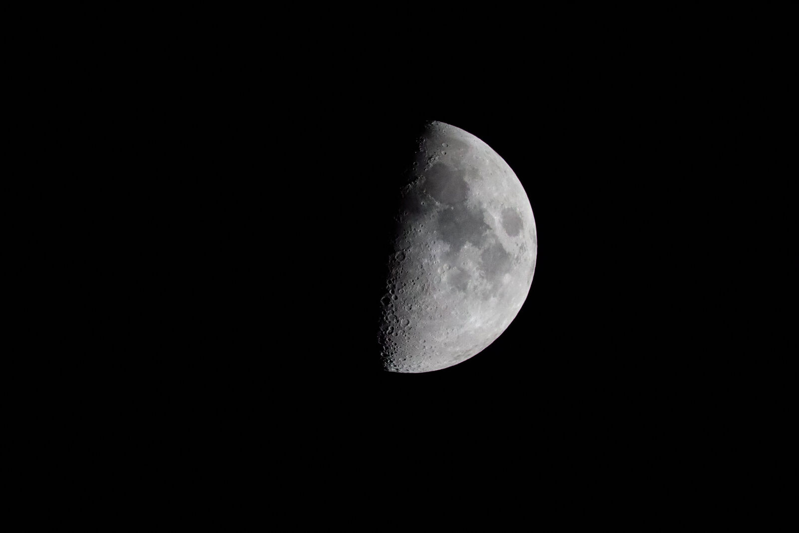 Canon EOS R100 sample photo