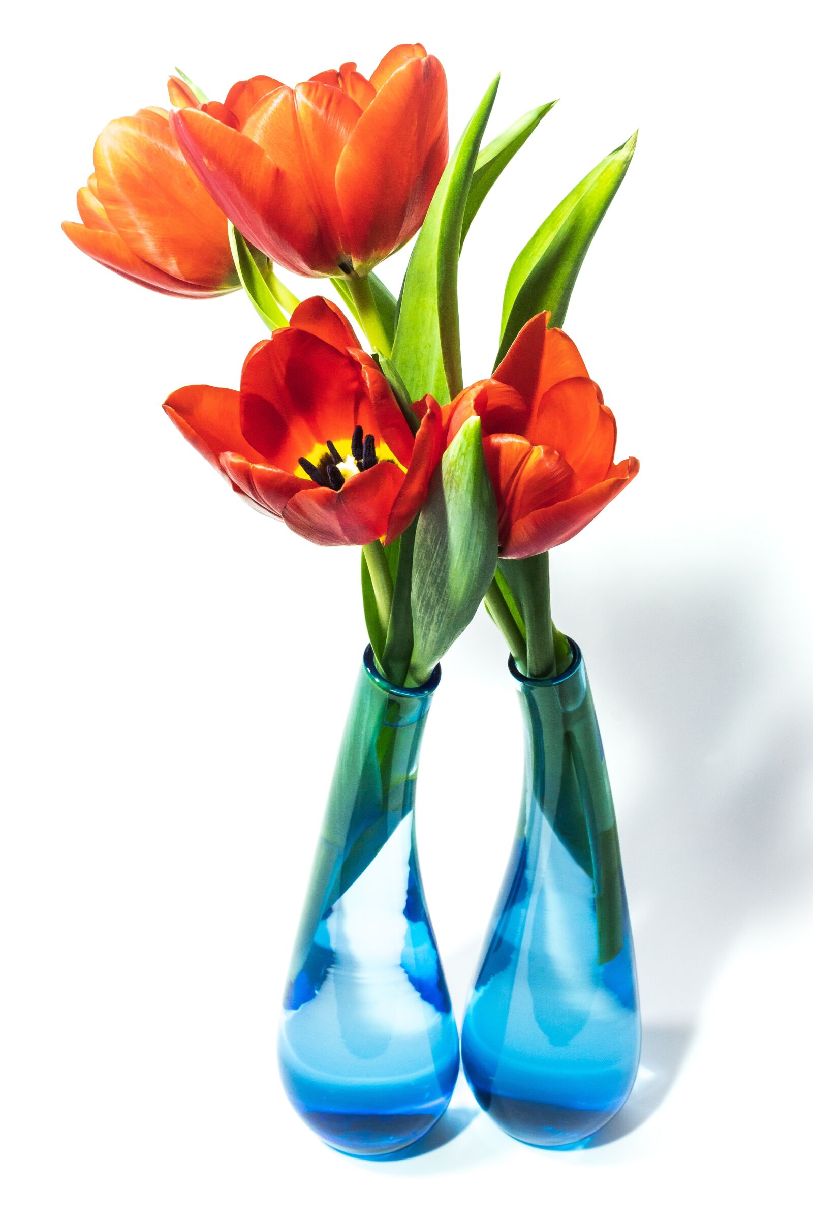 Canon EOS 1300D (EOS Rebel T6 / EOS Kiss X80) sample photo. Tulip, tulip bouquet, glass photography