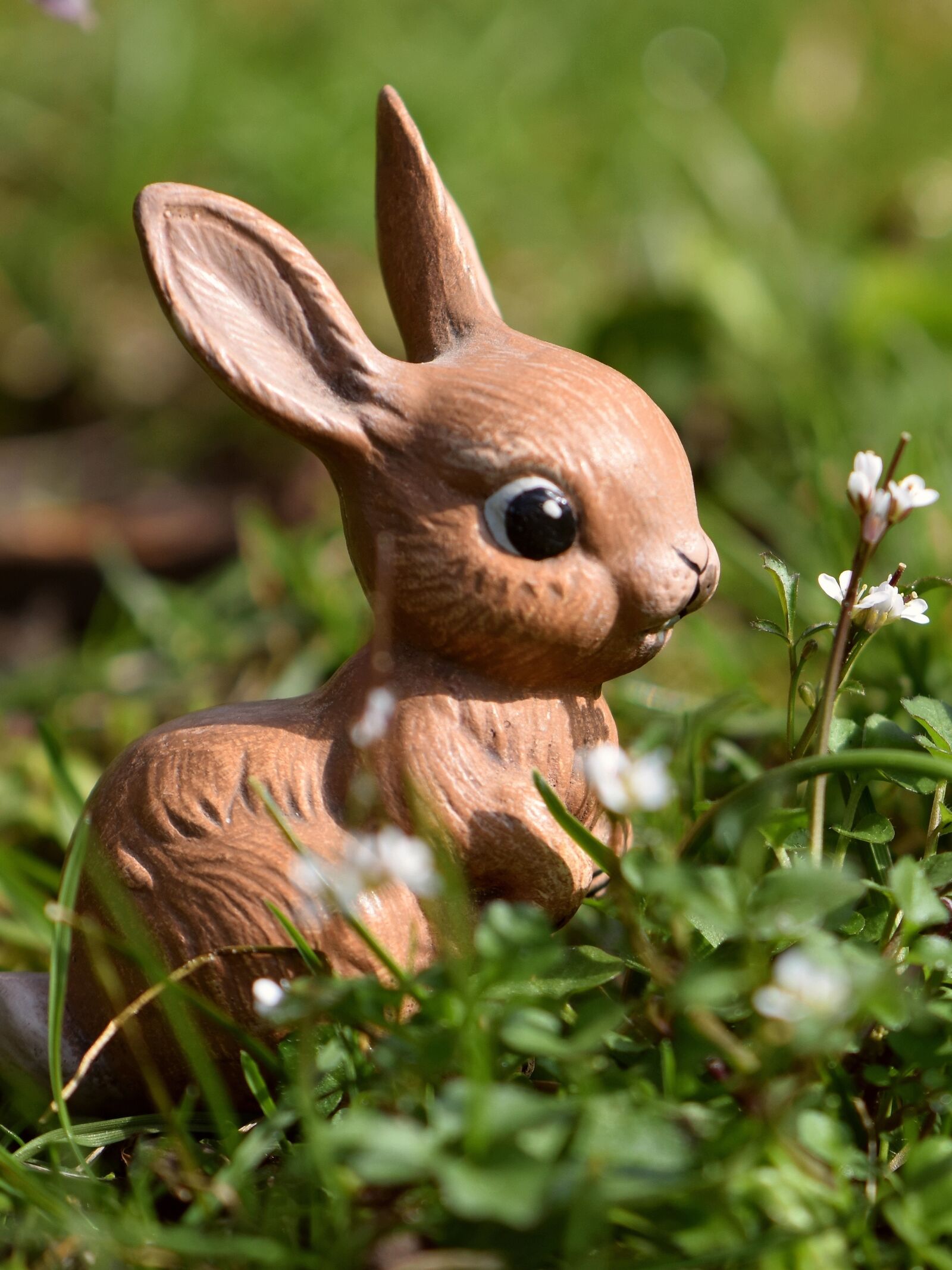 Nikon D5600 sample photo. Easter bunny, bunny, easter photography