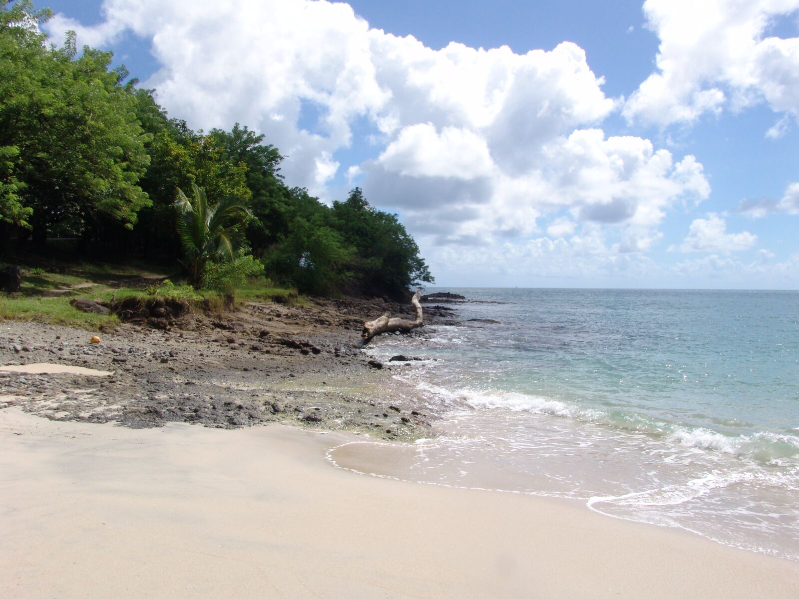 Sony DSC-F828 sample photo. Caribbean, beach, mabouya photography