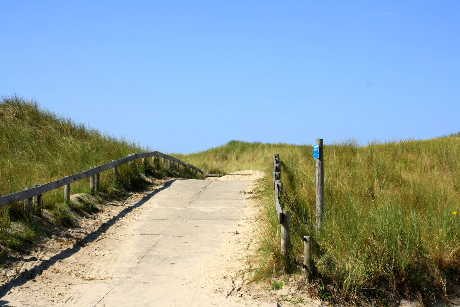 Canon EOS 1000D (EOS Digital Rebel XS / EOS Kiss F) sample photo. Dune, beach, north sea photography
