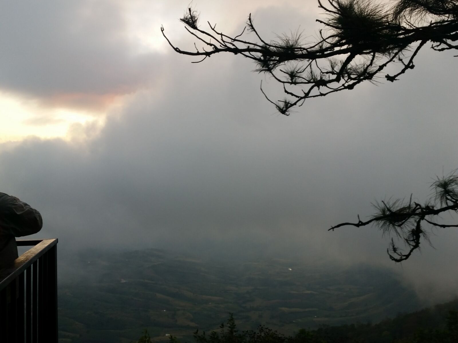 Samsung Galaxy S5 sample photo. Nature, fog, forest photography