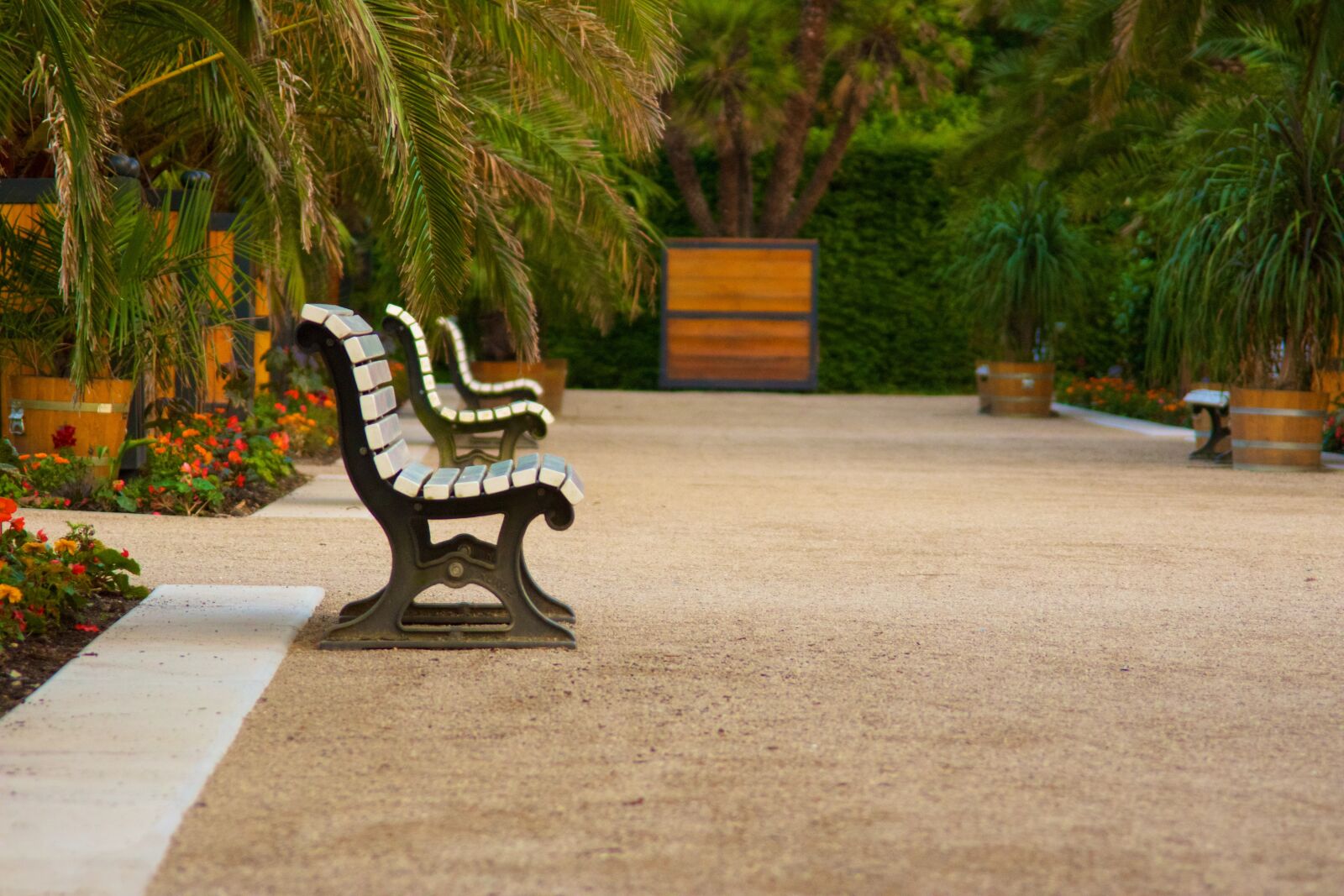 Sony SLT-A77 sample photo. Bank, park, benches photography