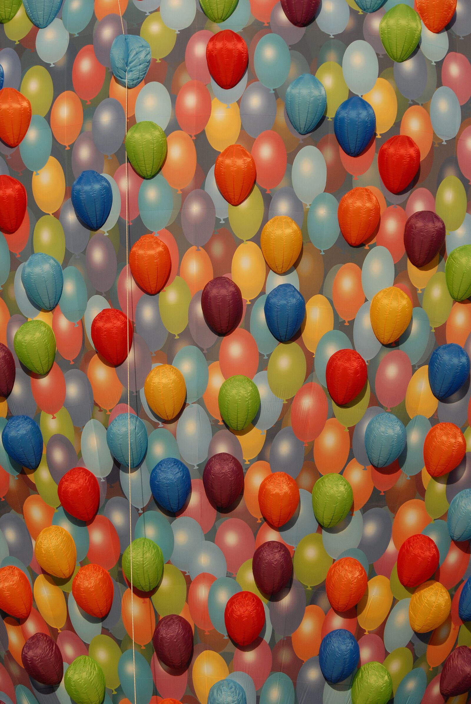 Nikon D200 sample photo. Hot-air ballooning, ball, flight photography