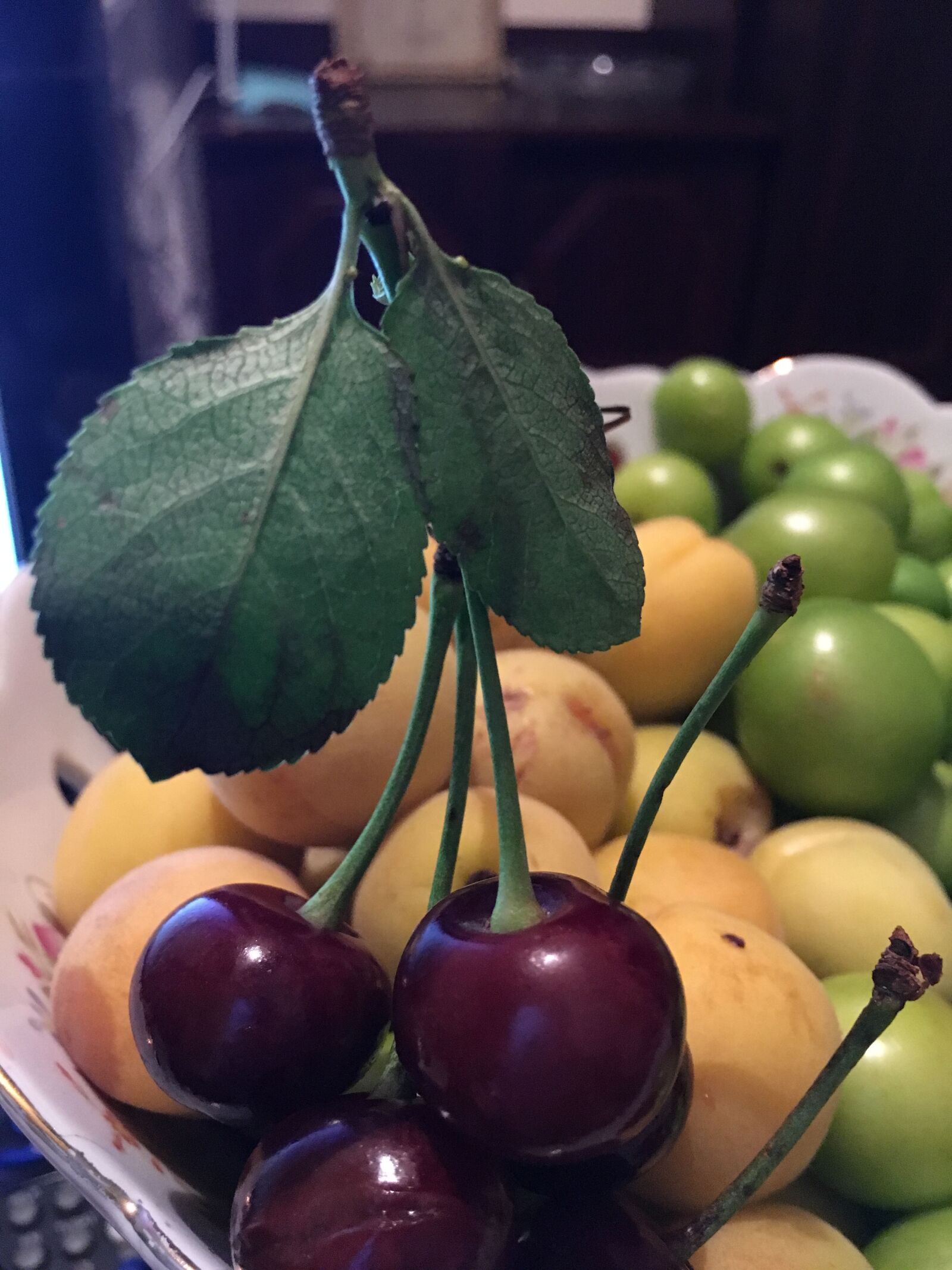 iPhone 6s back camera 4.15mm f/2.2 sample photo