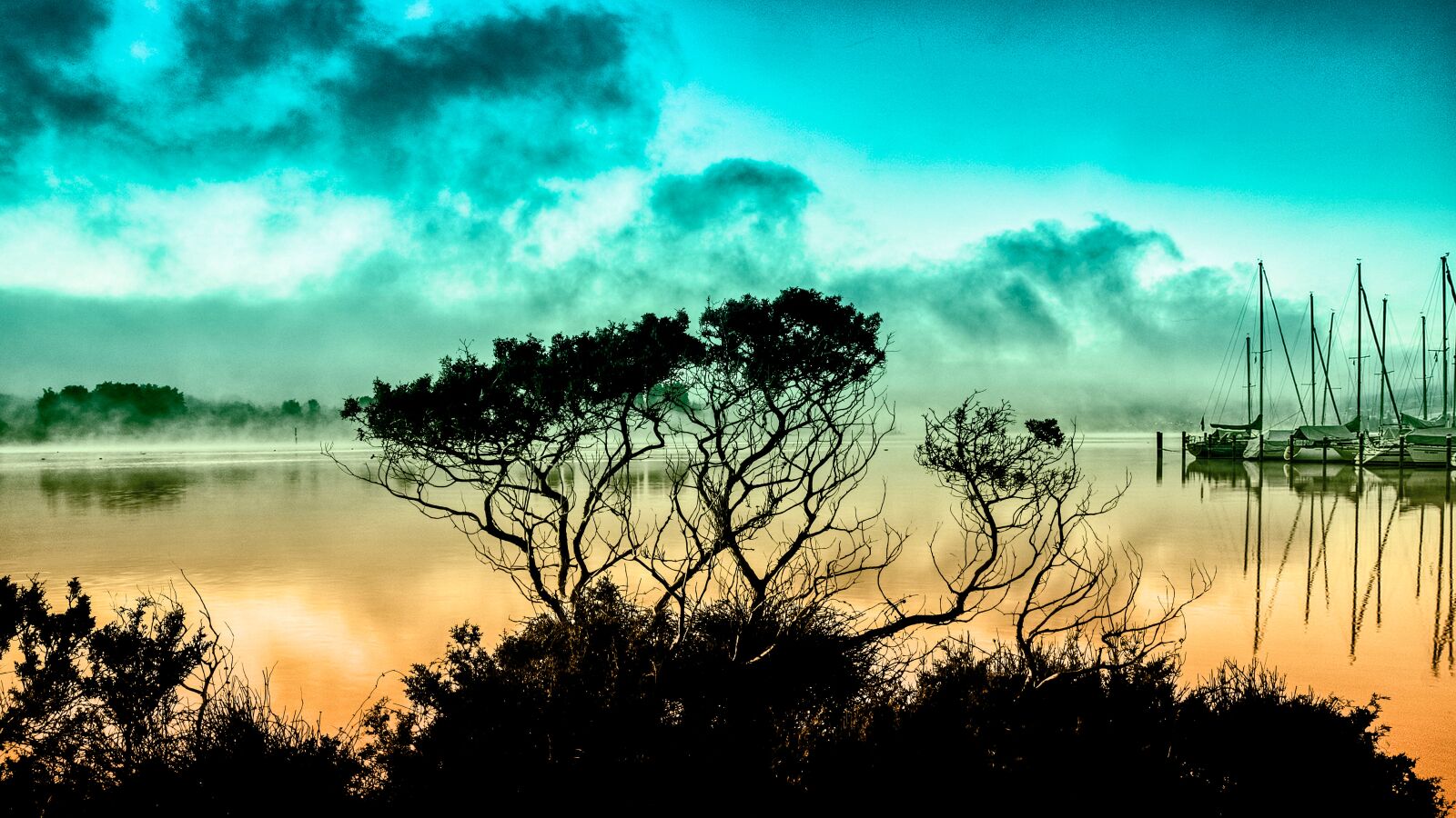 Nikon D3300 sample photo. Trees, branches, branch photography