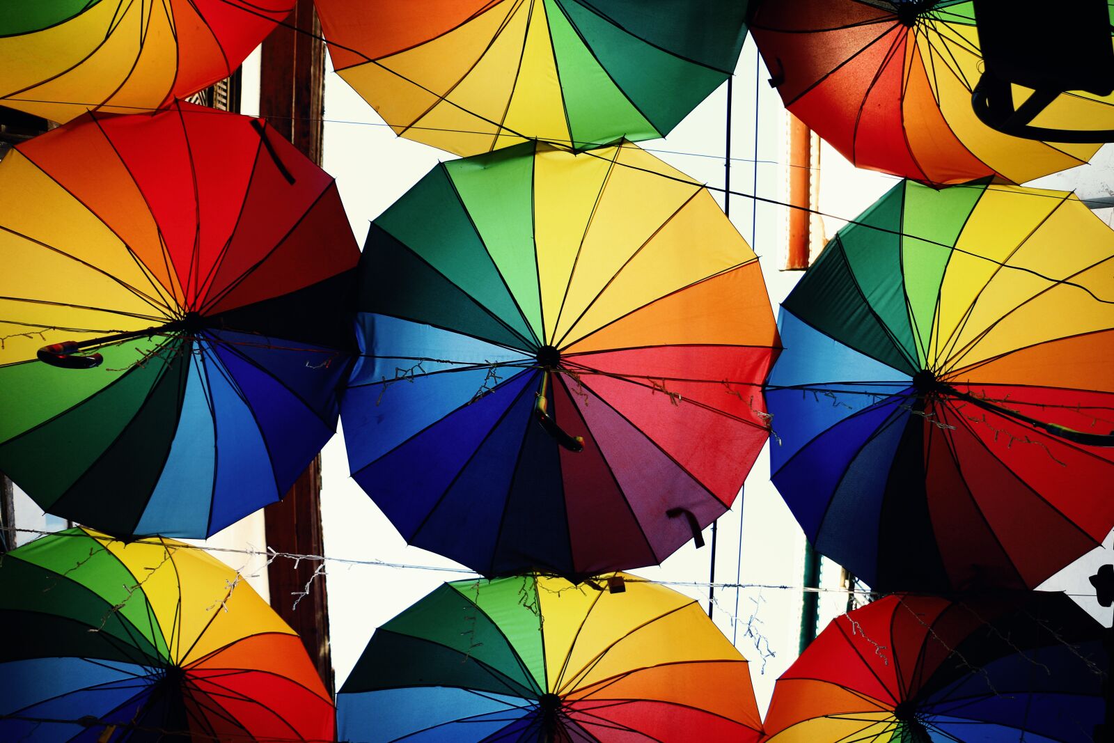 Canon EOS 70D sample photo. Umbrella, colorful, winter photography