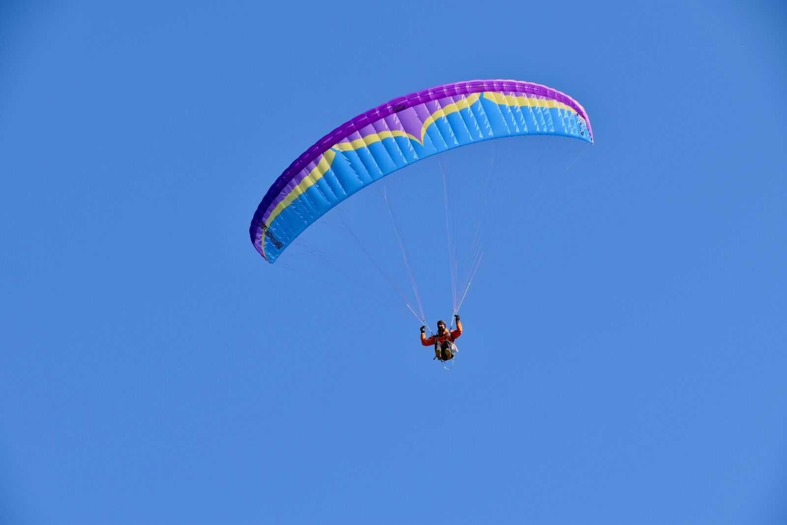 Nikon D5600 sample photo. Paragliding, paraglider, sailing blue photography