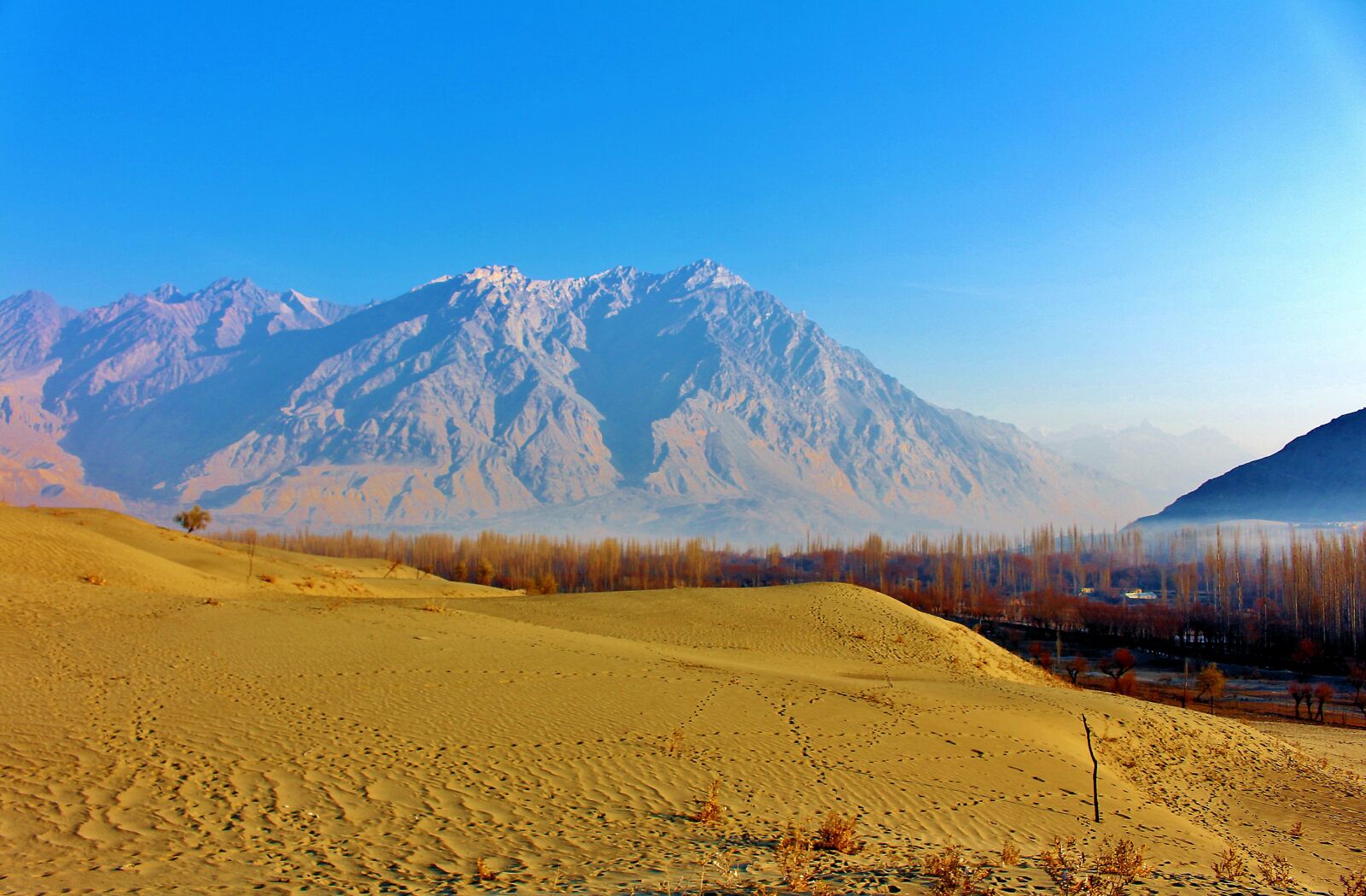 Canon EOS 700D (EOS Rebel T5i / EOS Kiss X7i) sample photo. Cold desert, katpana desert photography