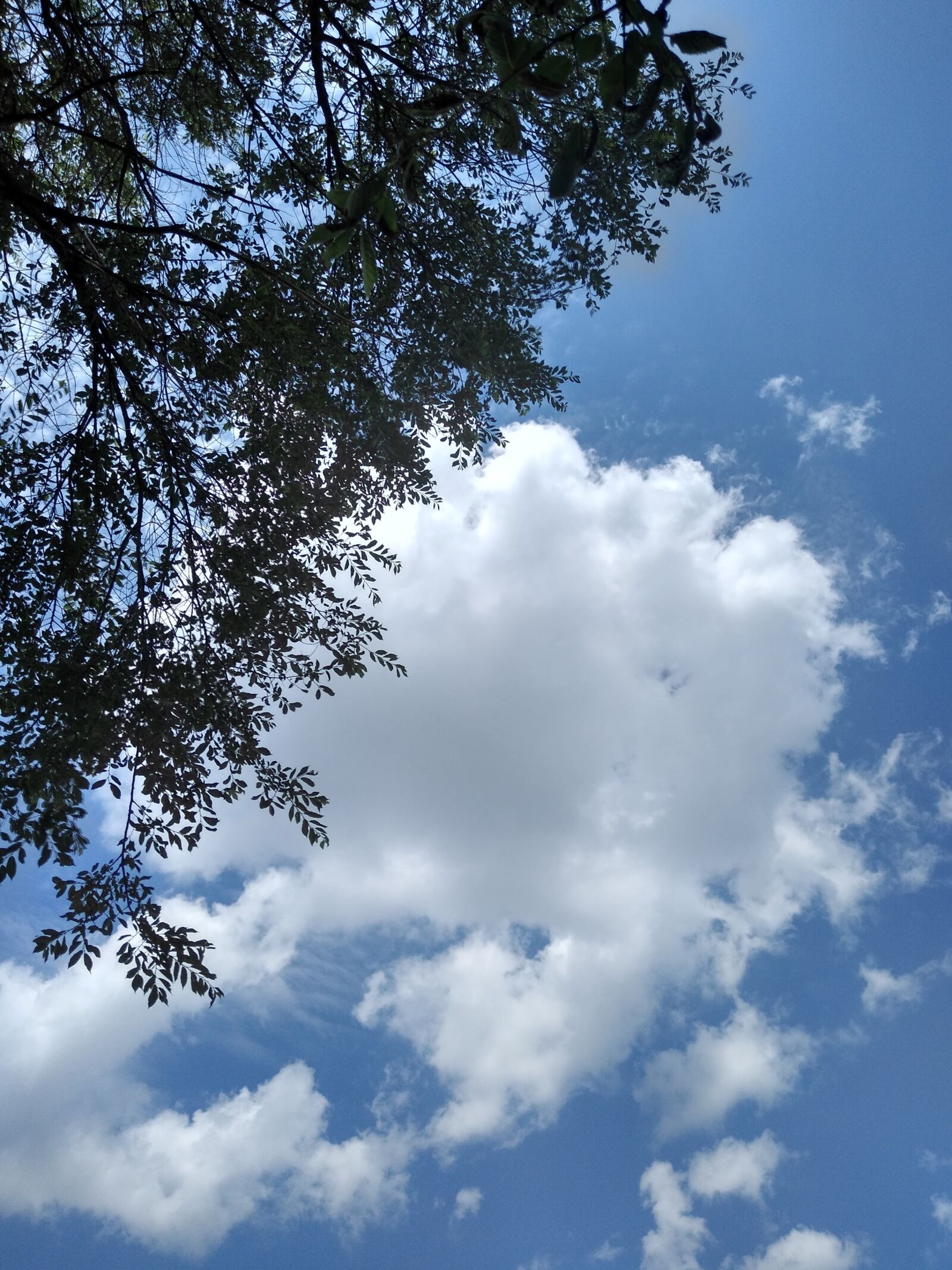 Motorola moto e(5) plus sample photo. Nature, sky, cloud photography