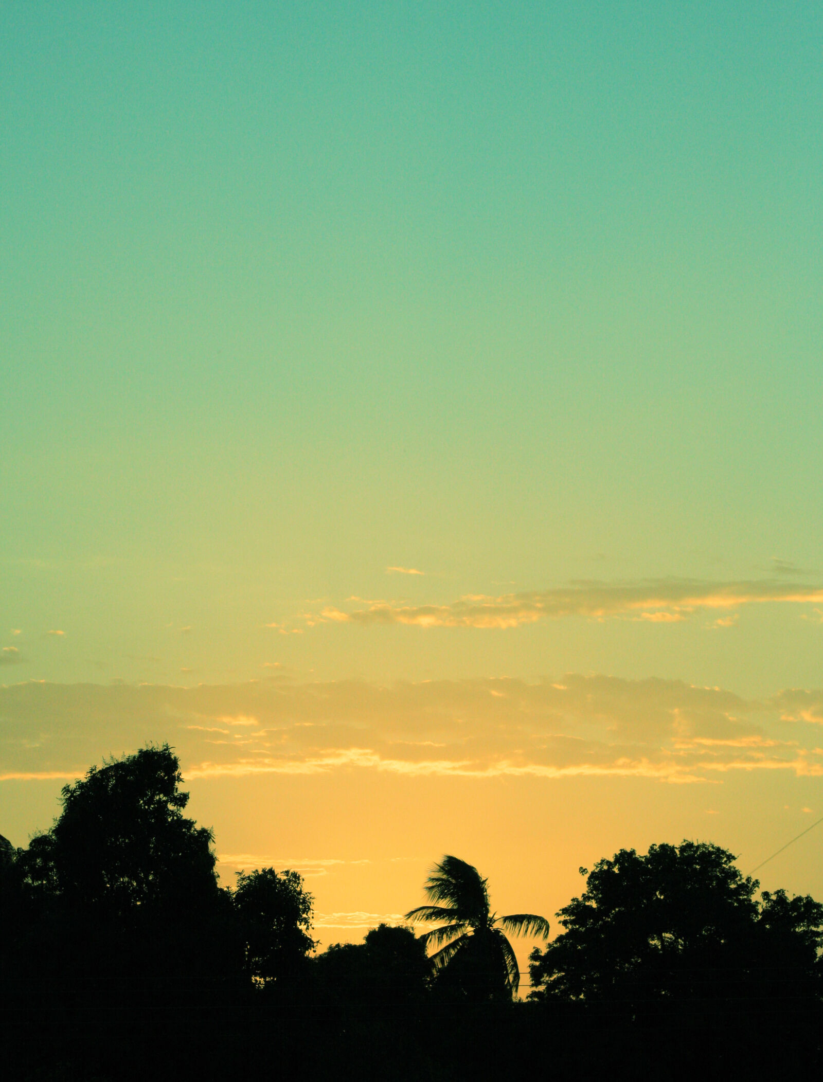 Canon EOS 1000D (EOS Digital Rebel XS / EOS Kiss F) + Canon EF 75-300mm f/4-5.6 sample photo. Sky, sunset, beach, blue photography