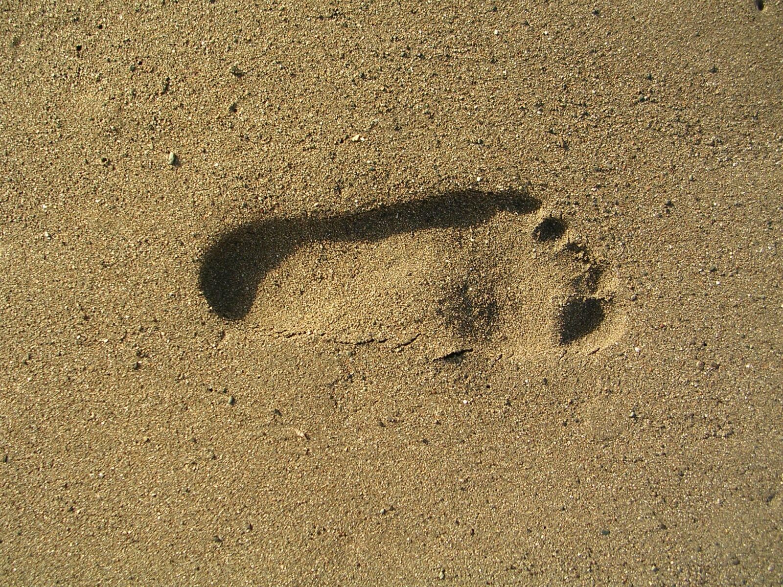 Nikon E3200 sample photo. Foot print, sand, sea photography