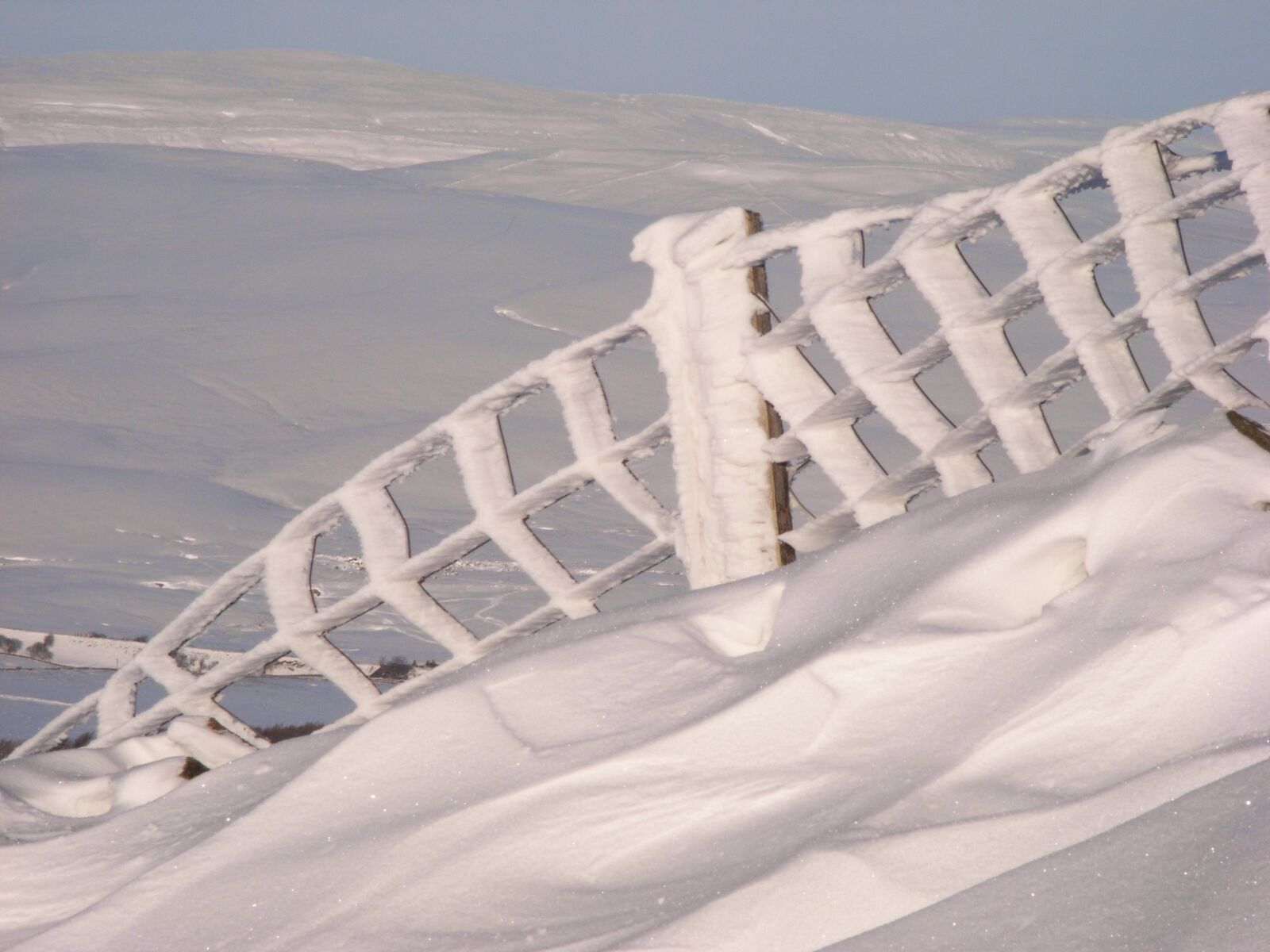 Ricoh Caplio R5 sample photo. Snow, fence, winter photography