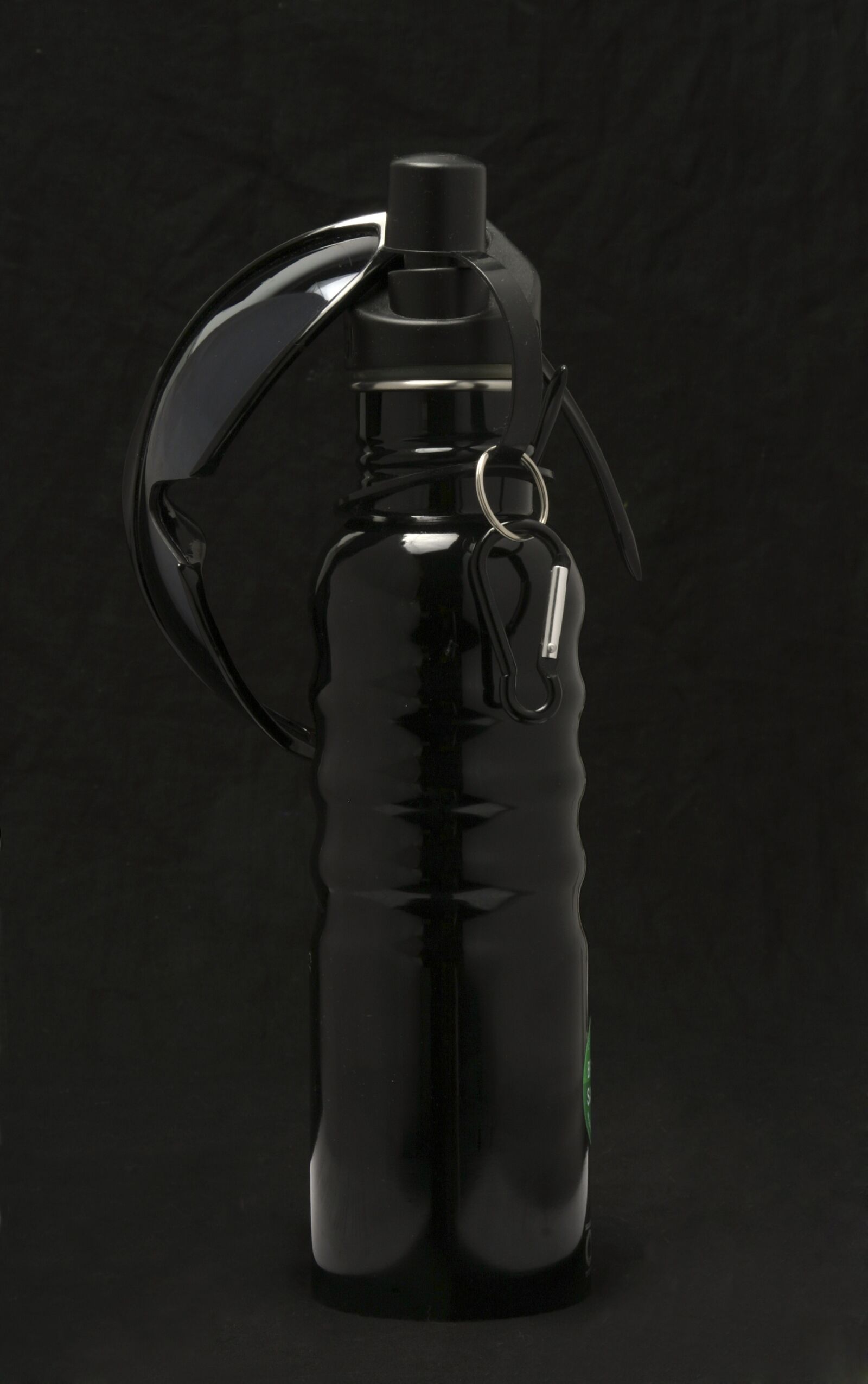 Canon EOS 10D sample photo. Black, glasses, sports photography