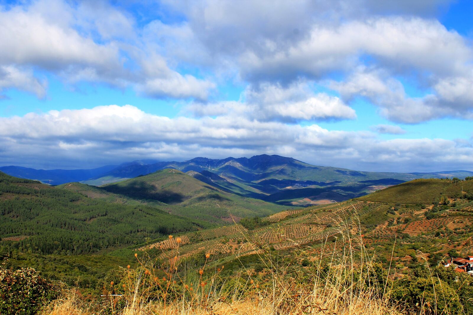 Canon EOS 1100D (EOS Rebel T3 / EOS Kiss X50) sample photo. Vineyards, mountain, landscape photography