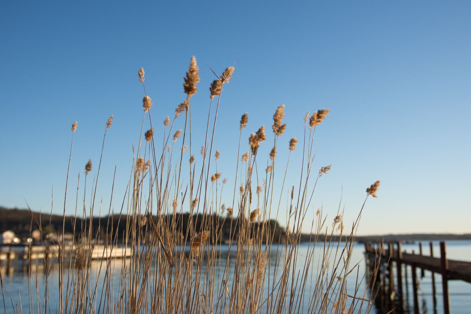 Nikon D7200 sample photo. Beach, sea, sunset photography