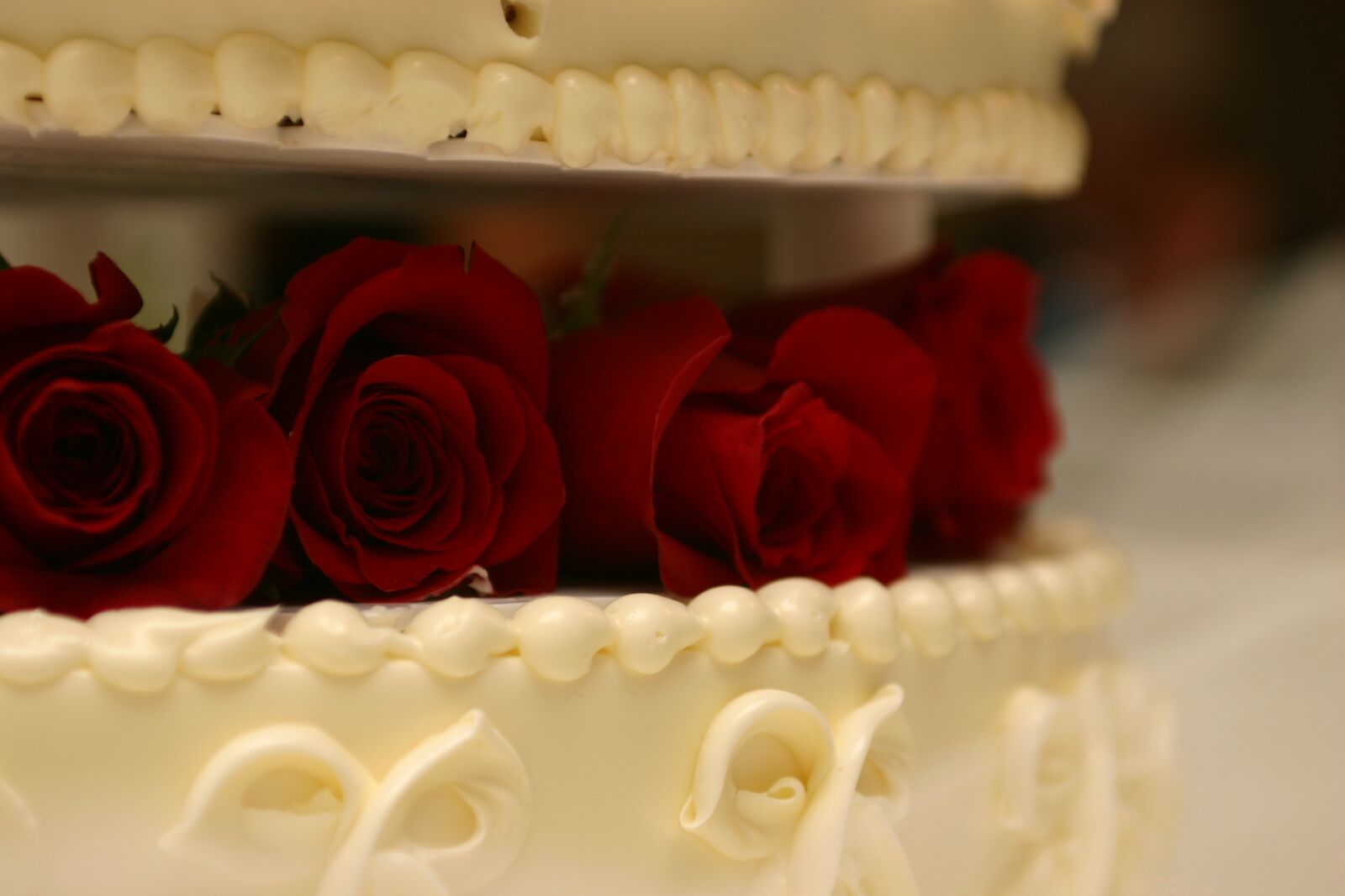 Canon EOS 300D (EOS Digital Rebel / EOS Kiss Digital) sample photo. Wedding, cake, dessert photography