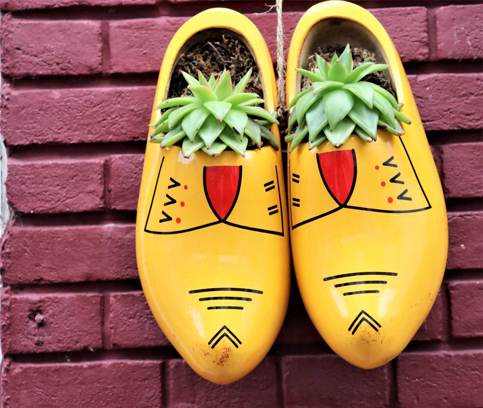 Canon EOS 80D sample photo. Wooden shoes, holland, clogs photography