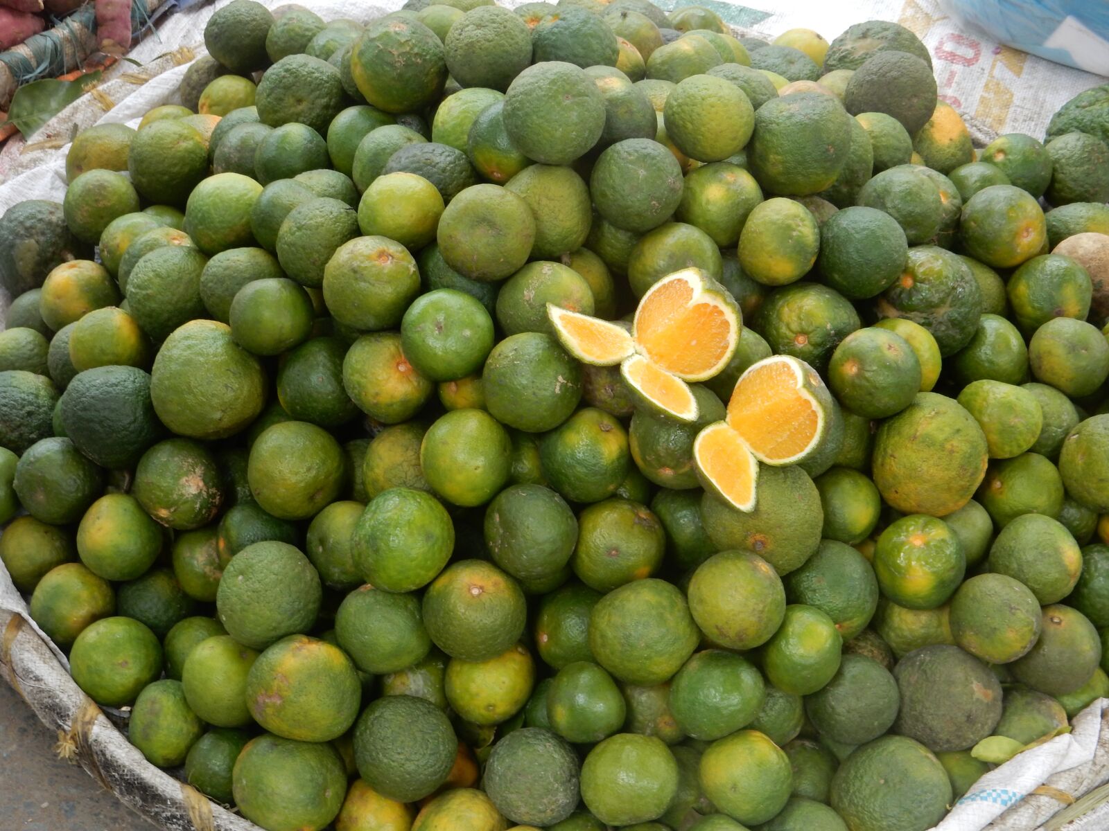 Nikon Coolpix S9900 sample photo. Kalamansi, lime, fruit photography