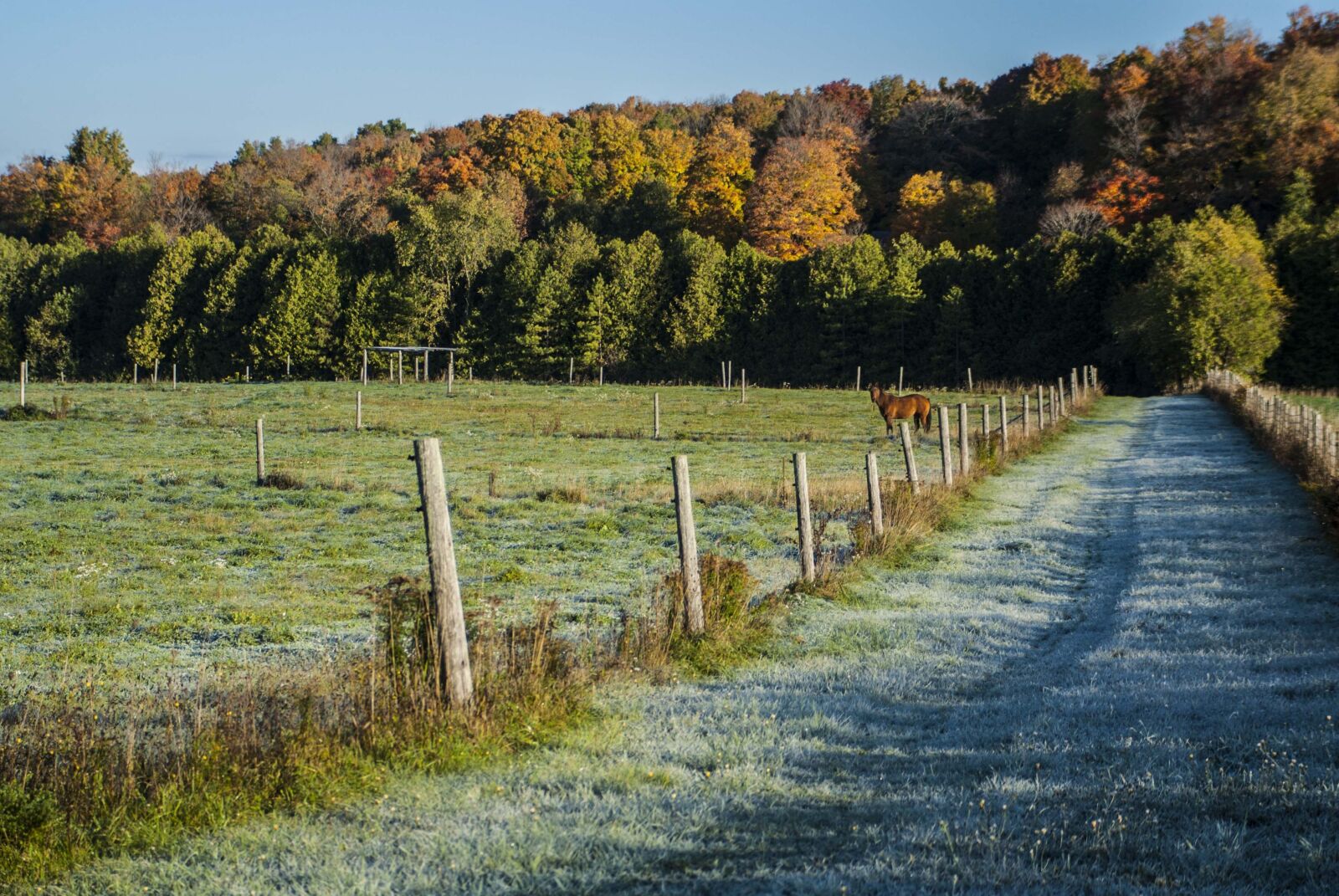 Sony Alpha DSLR-A100 sample photo. Country, rural, landscape photography