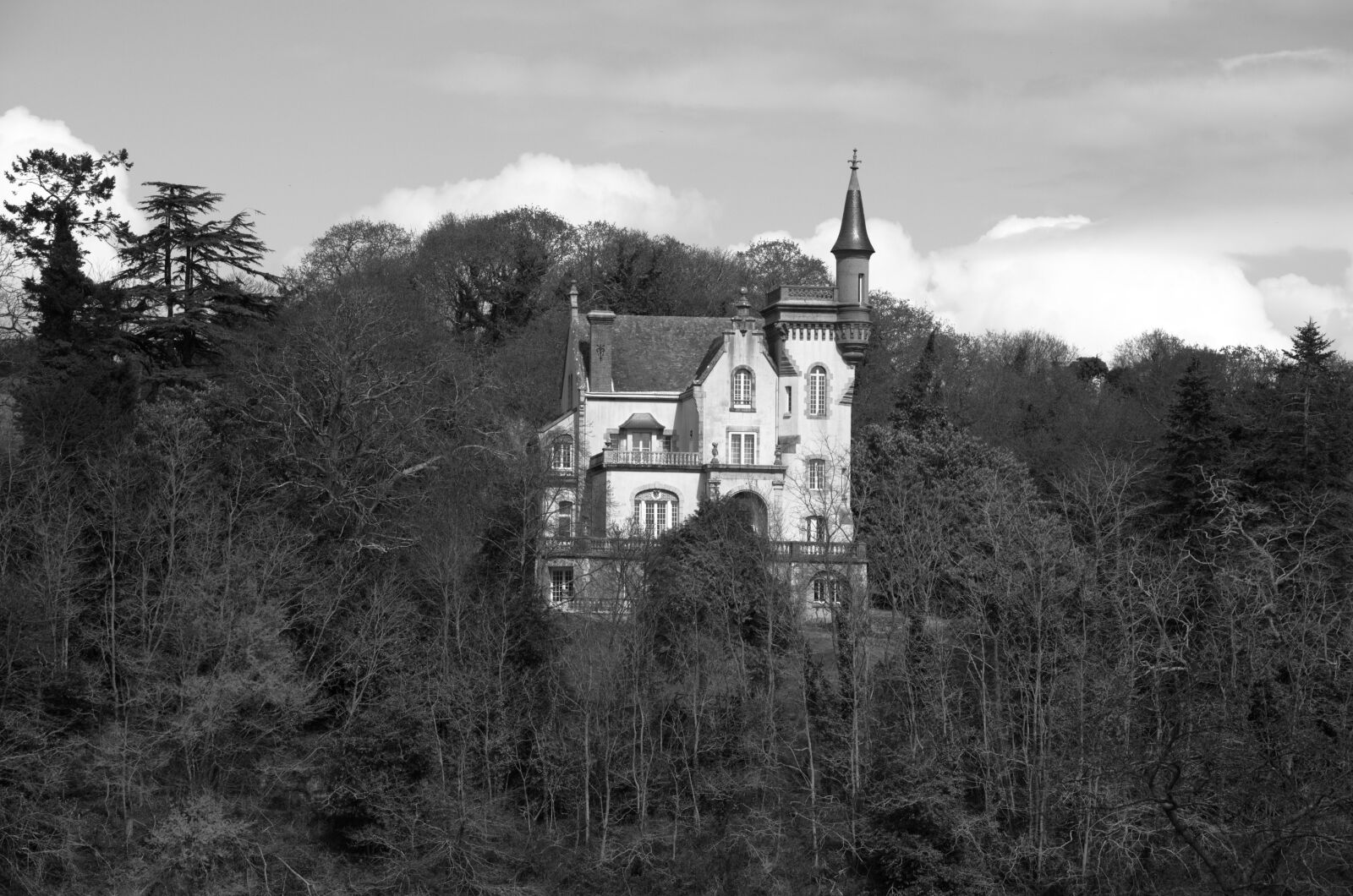 Nikon D5100 sample photo. Castle, wood, building photography
