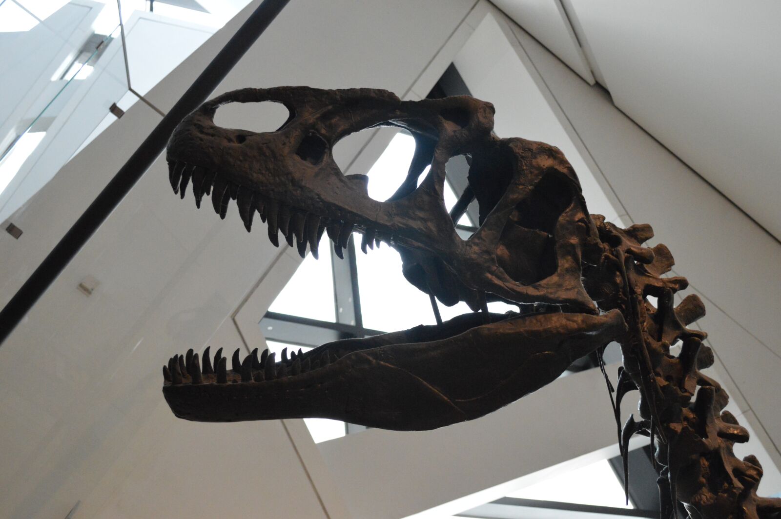 Nikon D3200 sample photo. Dinosaur, allosaurus, predator photography