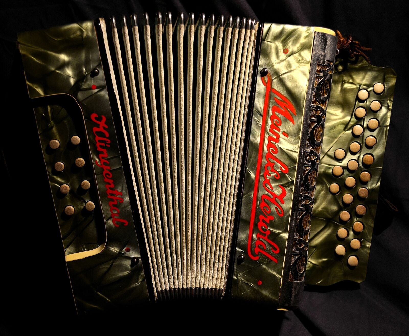 Nikon D5100 sample photo. Accordion, ziehhamonika, schifferklavier photography
