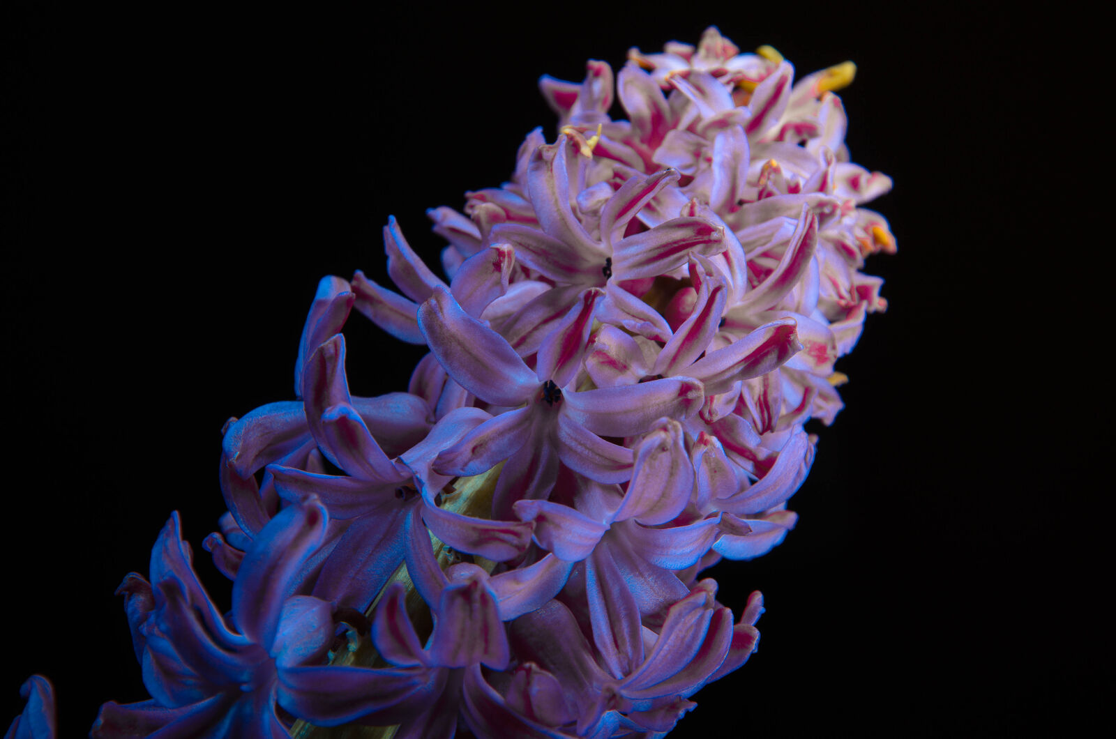 Nikon D5100 sample photo