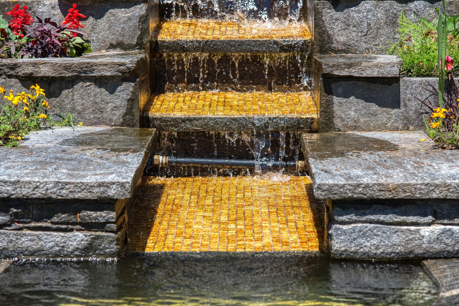 Nikon D750 sample photo. Flowers water stairs, watercourse photography
