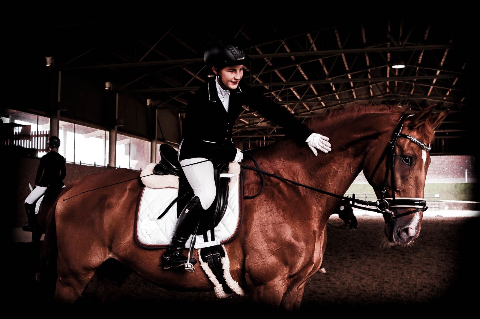 Nikon D90 sample photo. Hall, horse, held photography