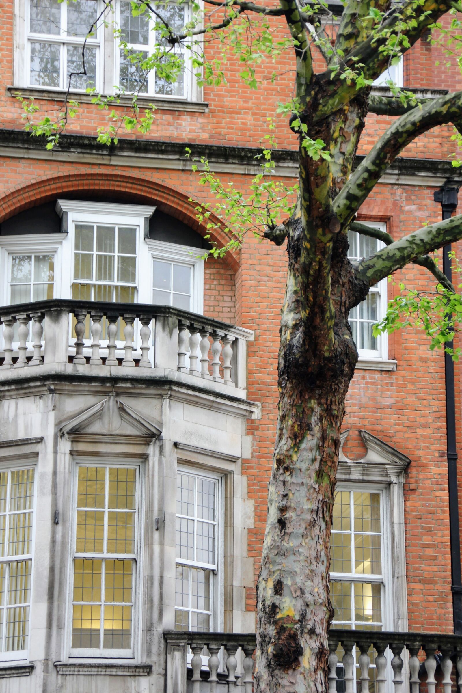 Canon EOS 60D sample photo. Building, front, front view photography