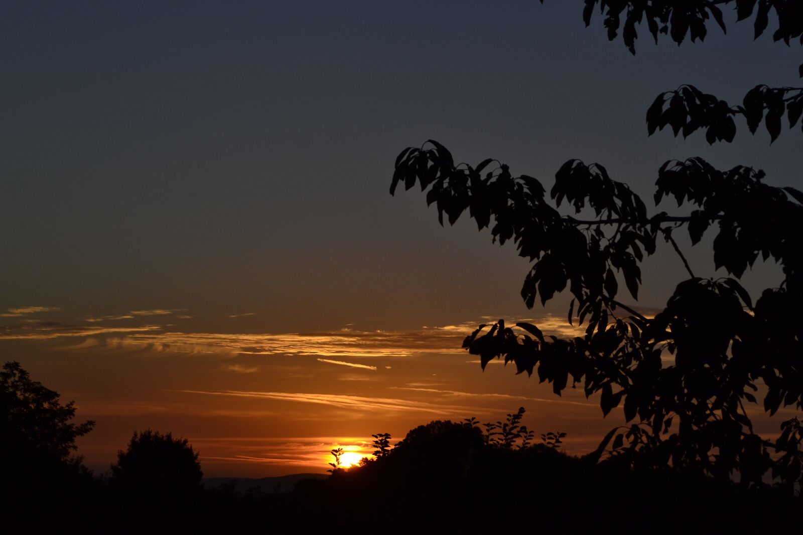 Nikon D3100 sample photo. Sunrise, dawn, in the photography
