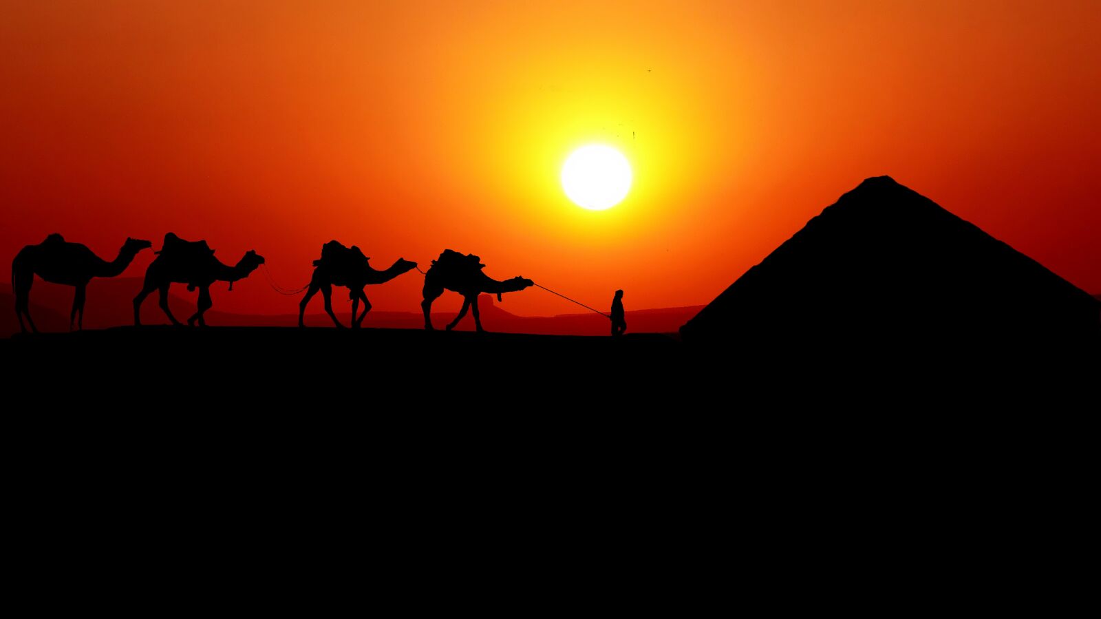 Panasonic Lumix DMC-FZ200 sample photo. Sunset, caravan, camels photography