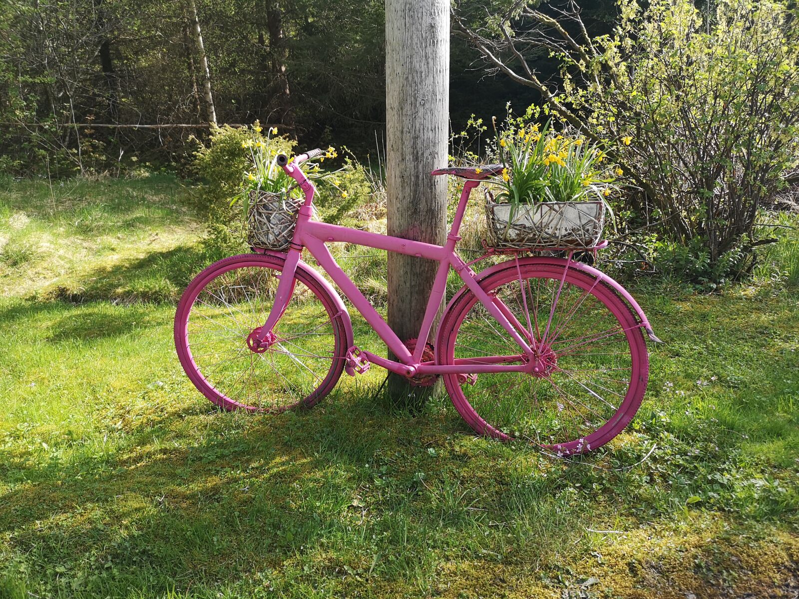 HUAWEI CLT-L29 sample photo. Pink bike, bike, old photography