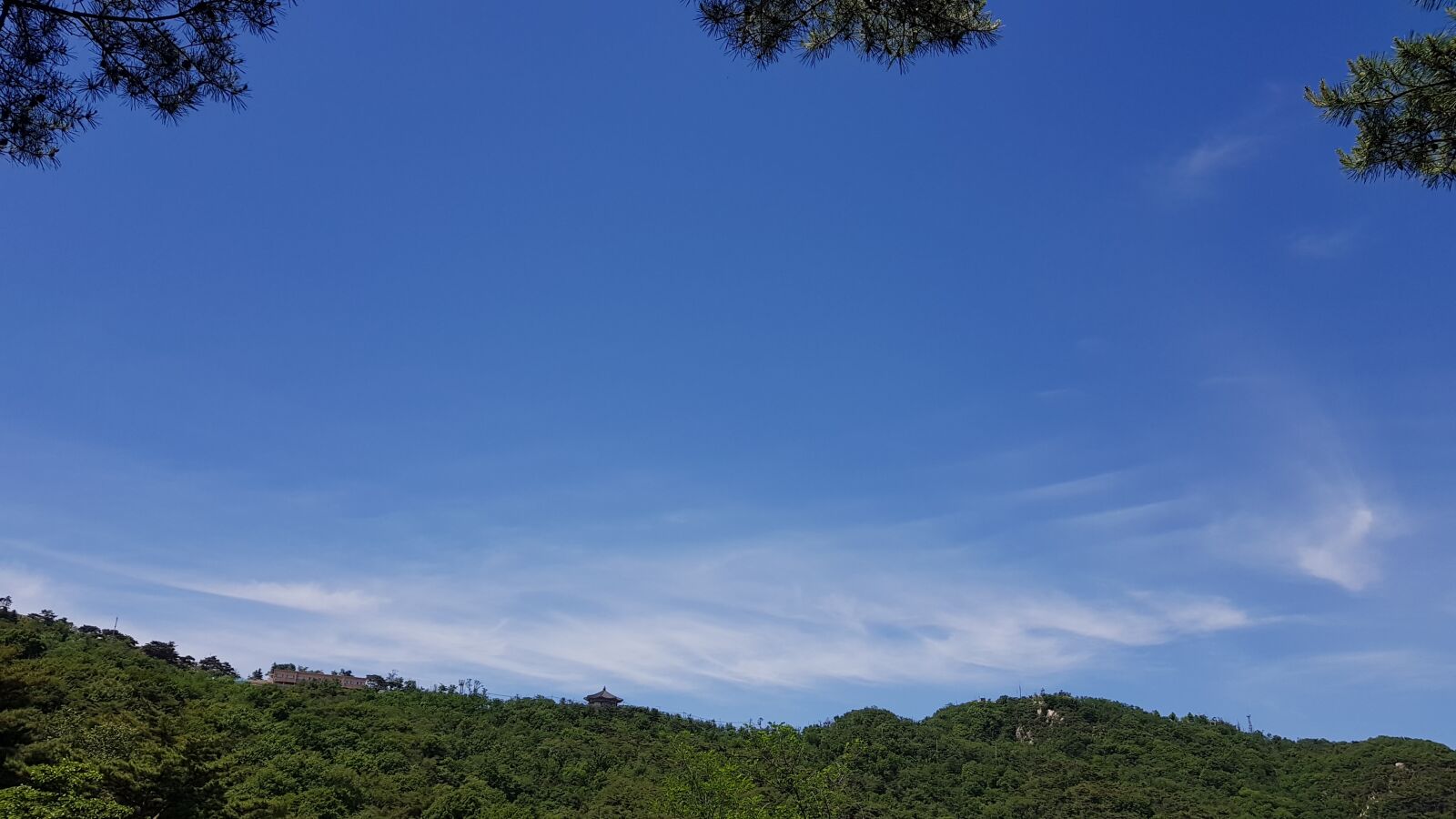 Samsung Galaxy S8+ sample photo