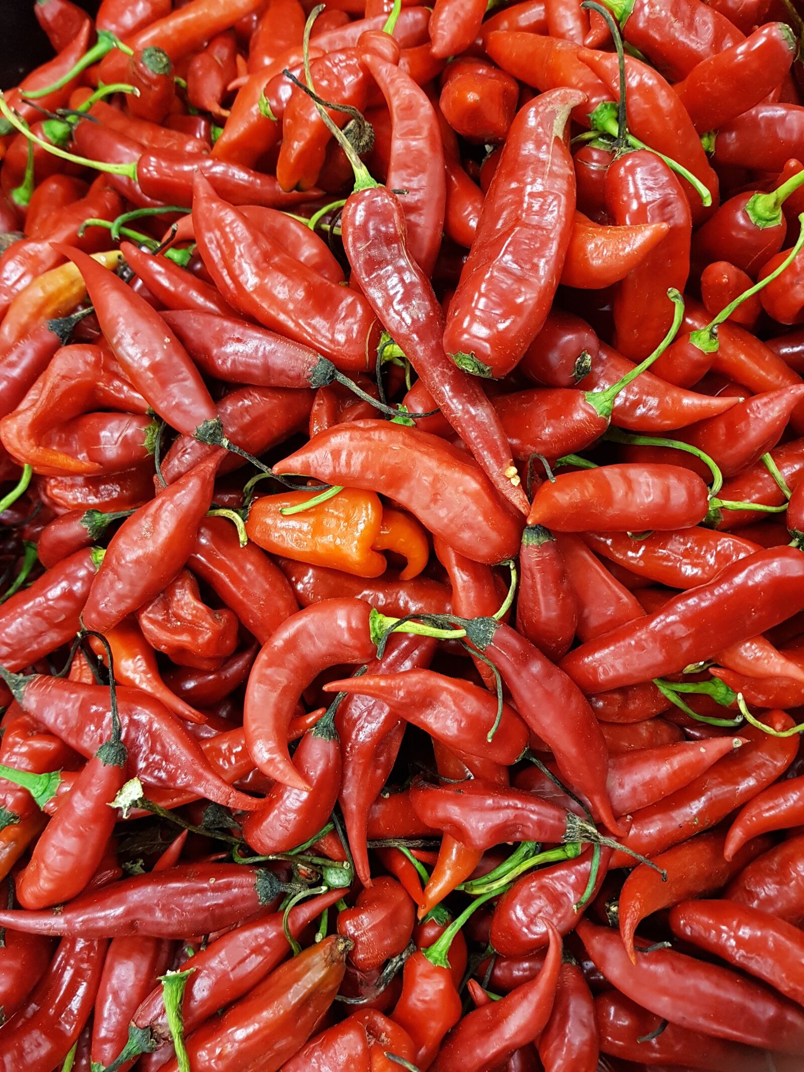 Samsung Galaxy S8 sample photo. Pepper, spicy, seasoning photography