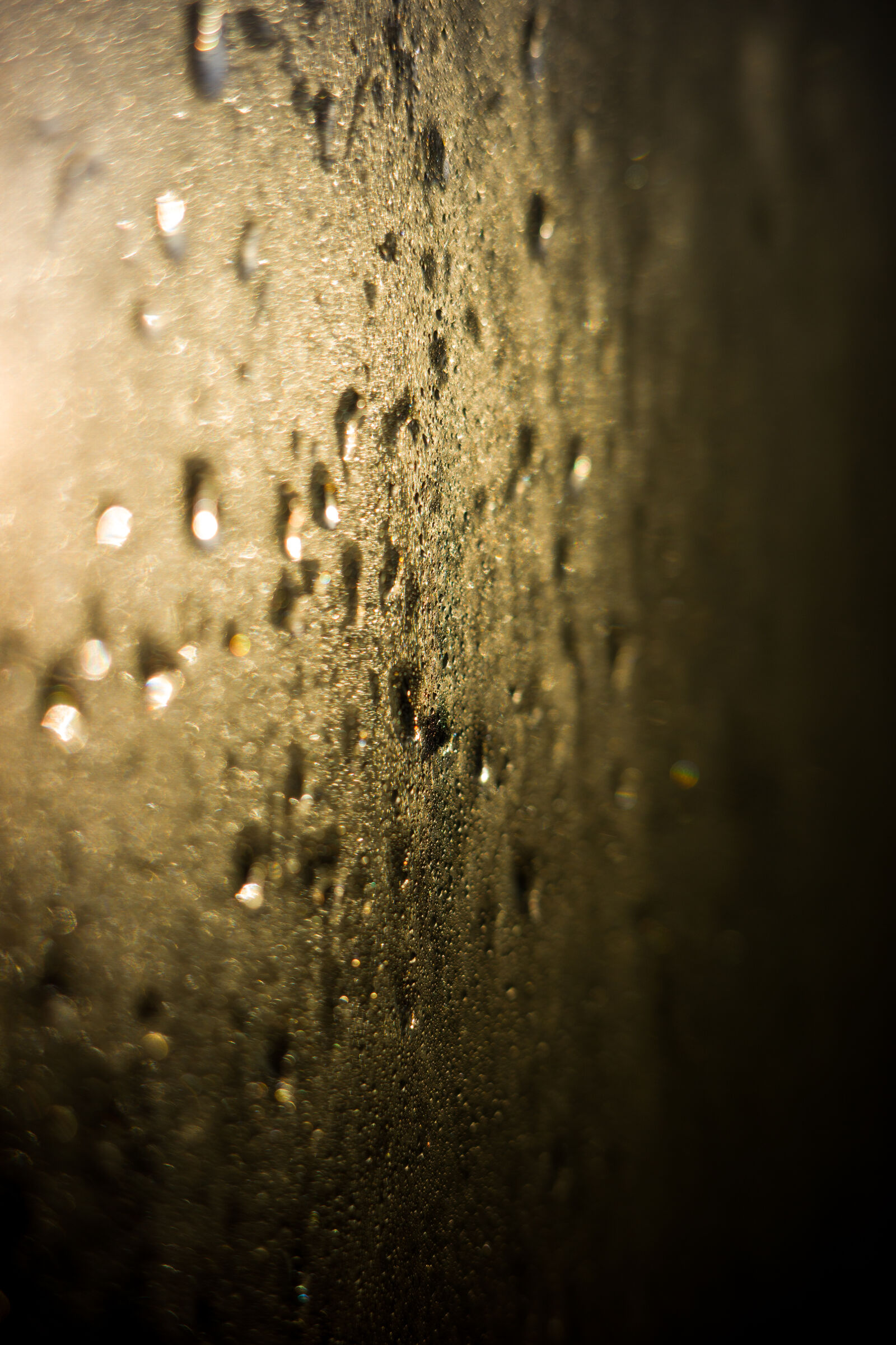 Ricoh GR IIIx sample photo. Raindrop sunlight bokeh photography