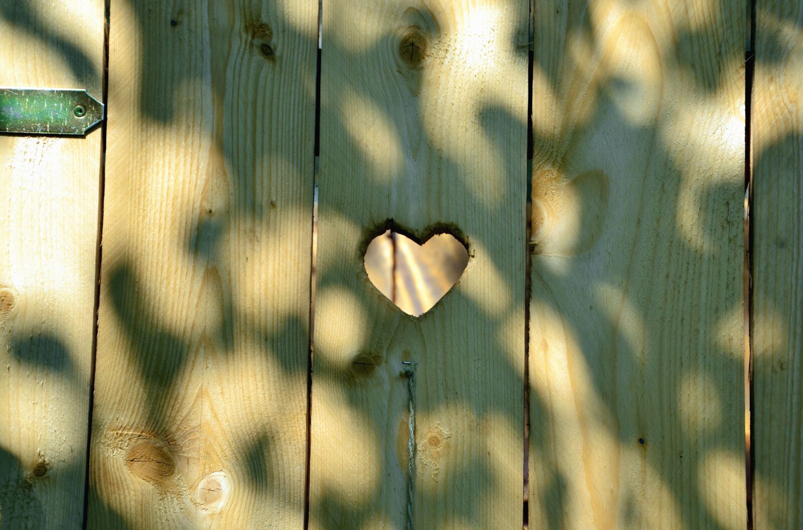 Nikon D5100 sample photo. Hinge, door, heart, wood photography