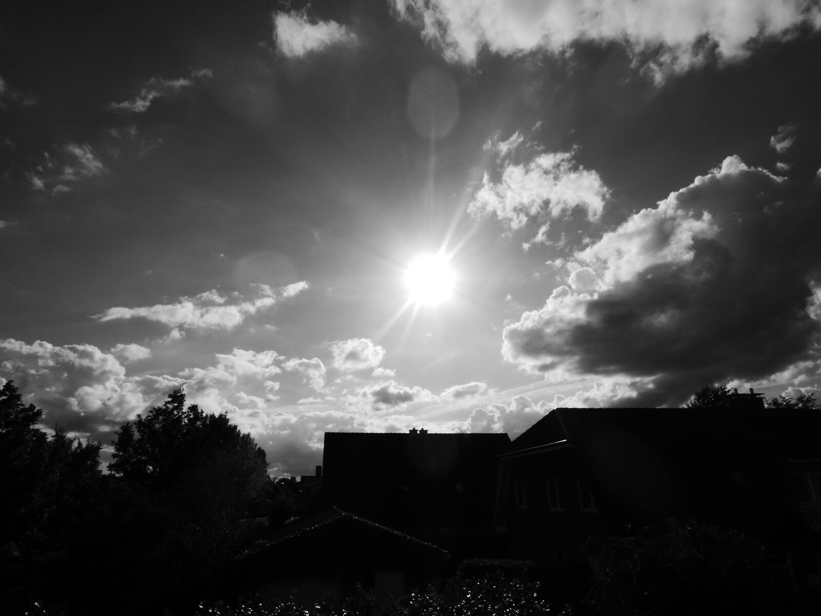 Panasonic DMC-FZ72 sample photo. Black, white, sun photography