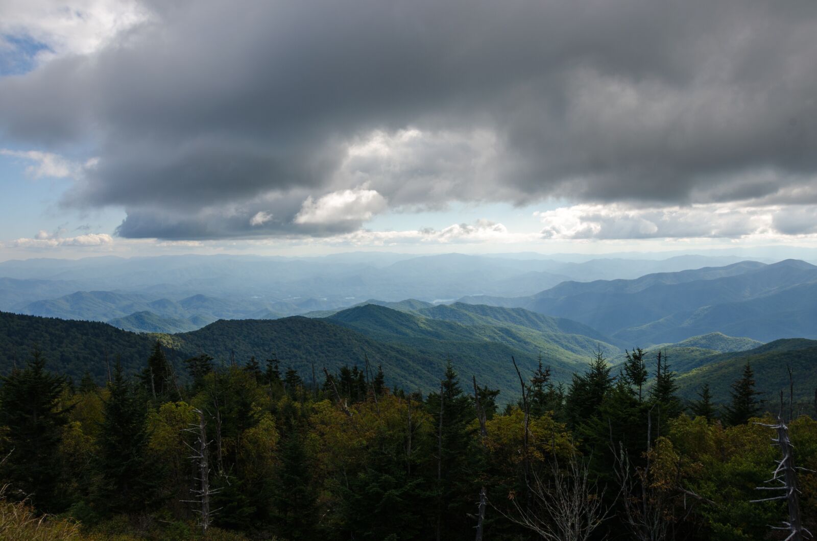 Nikon D5100 sample photo. Usa, america, nature photography