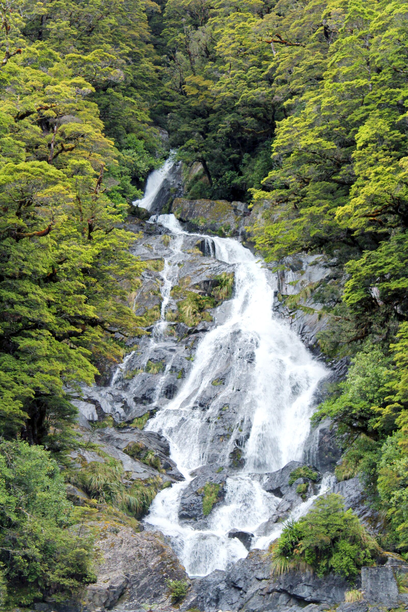 Canon EOS 600D (Rebel EOS T3i / EOS Kiss X5) sample photo. Waterfall, green, natural photography