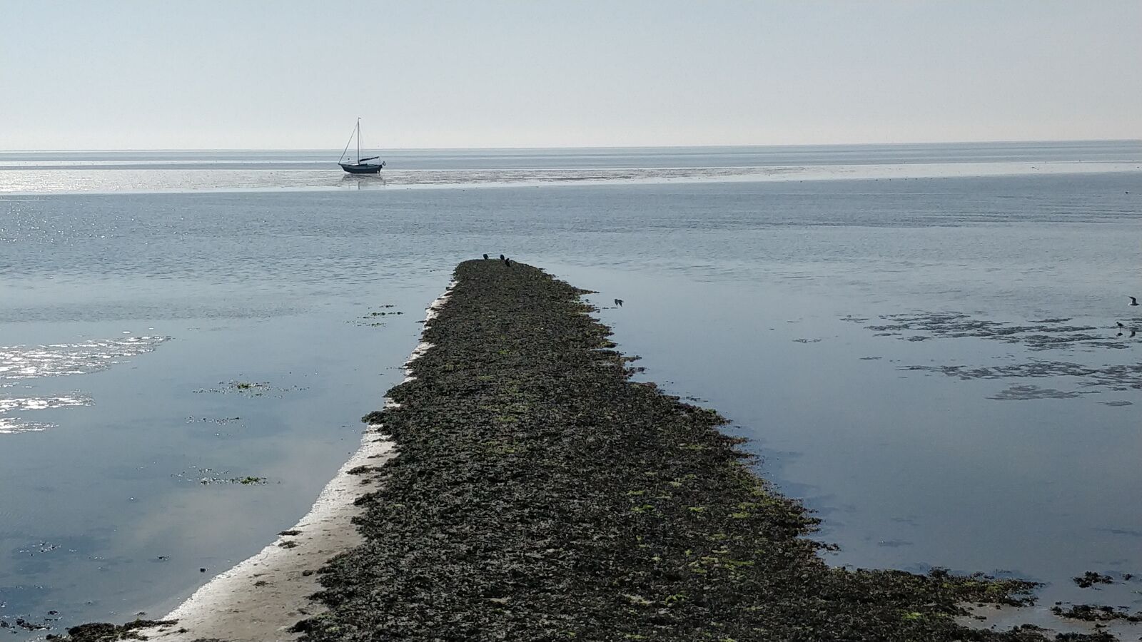 OnePlus 5 sample photo. Sea, west frisian, boat photography