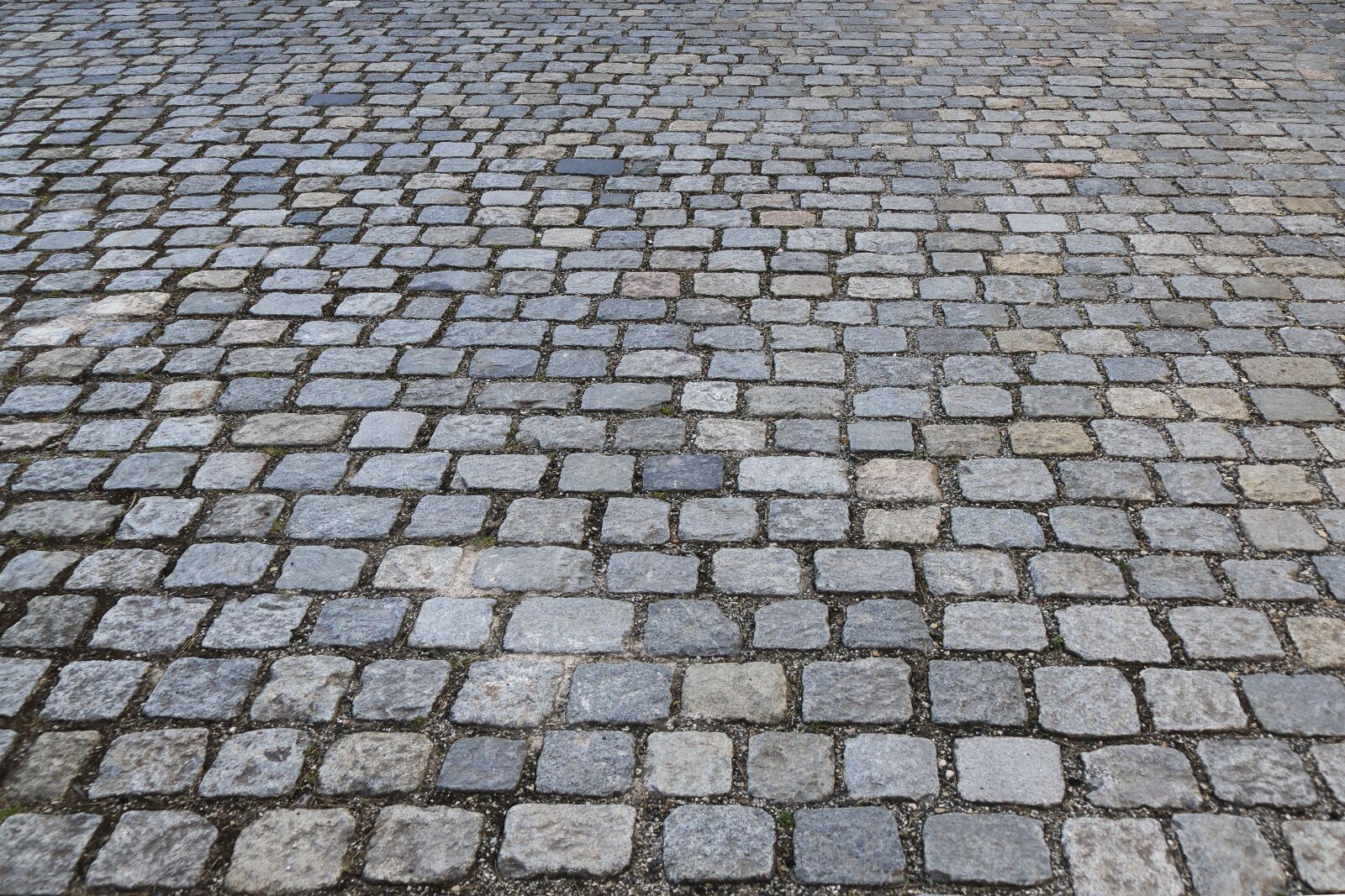 Panasonic Lumix DMC-FZ1000 sample photo. Patch, cobblestones, flooring photography