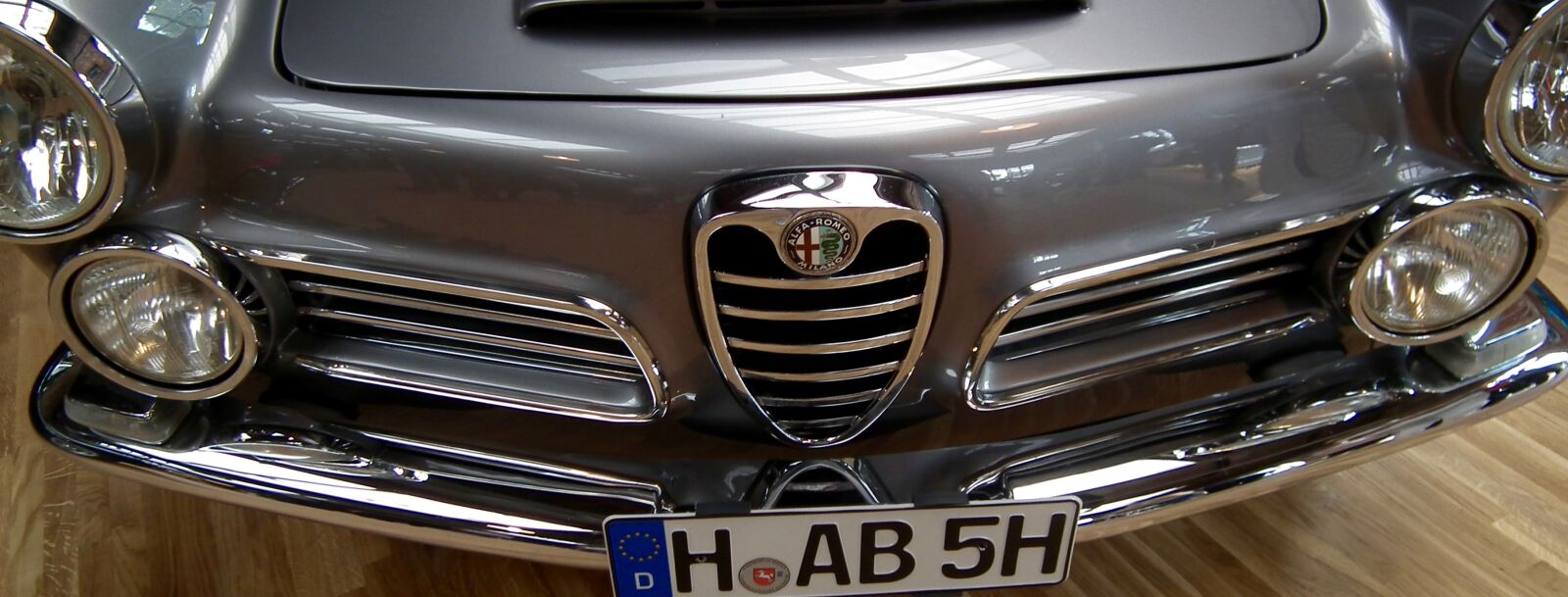 FujiFilm FinePix HS10 (FinePix HS11) sample photo
