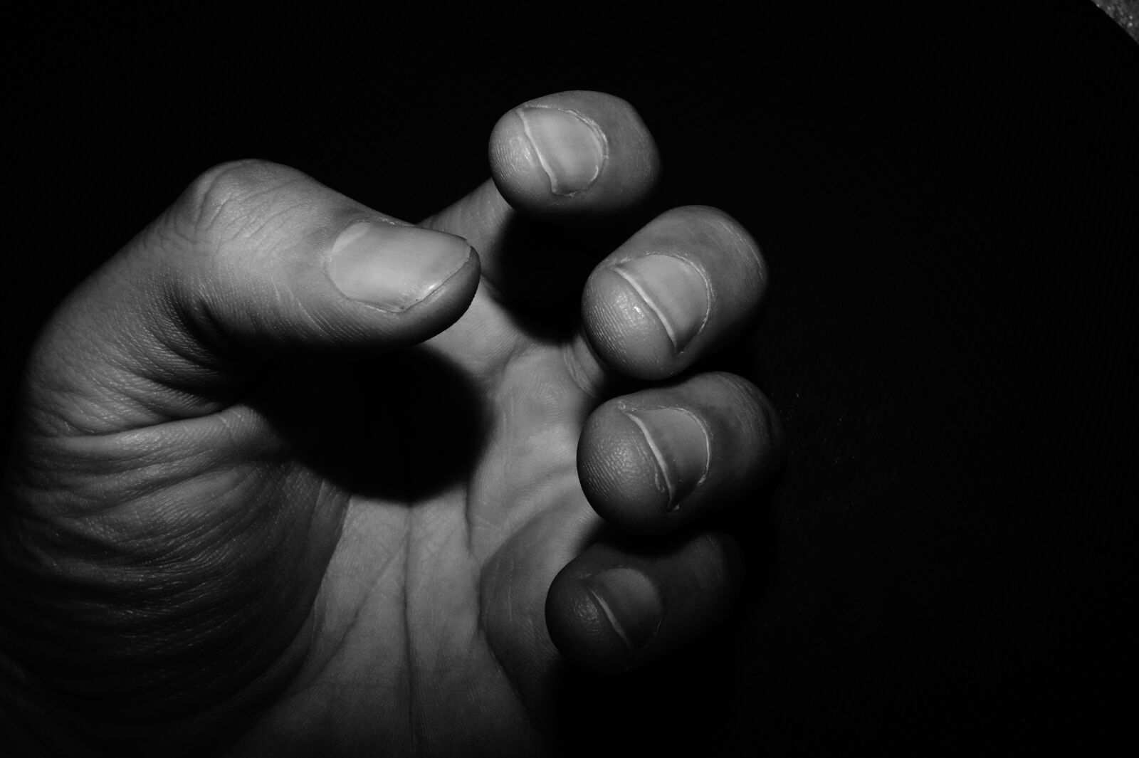 Sony DT 18-55mm F3.5-5.6 SAM II sample photo. Hand, hands photography