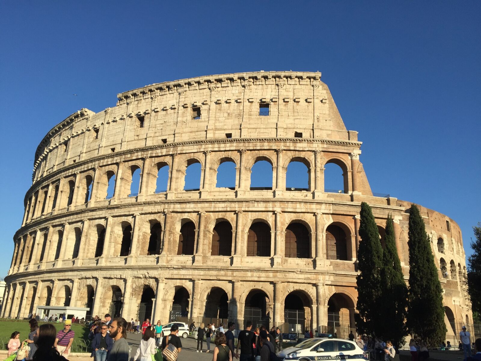 Apple iPhone 6 sample photo. Rome, roma, trees photography
