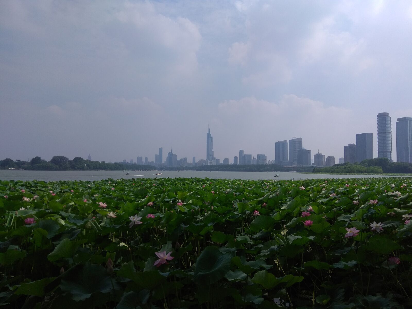 Xiaomi Redmi Note 4X sample photo. Xuanwu lake, lake, nanjing photography